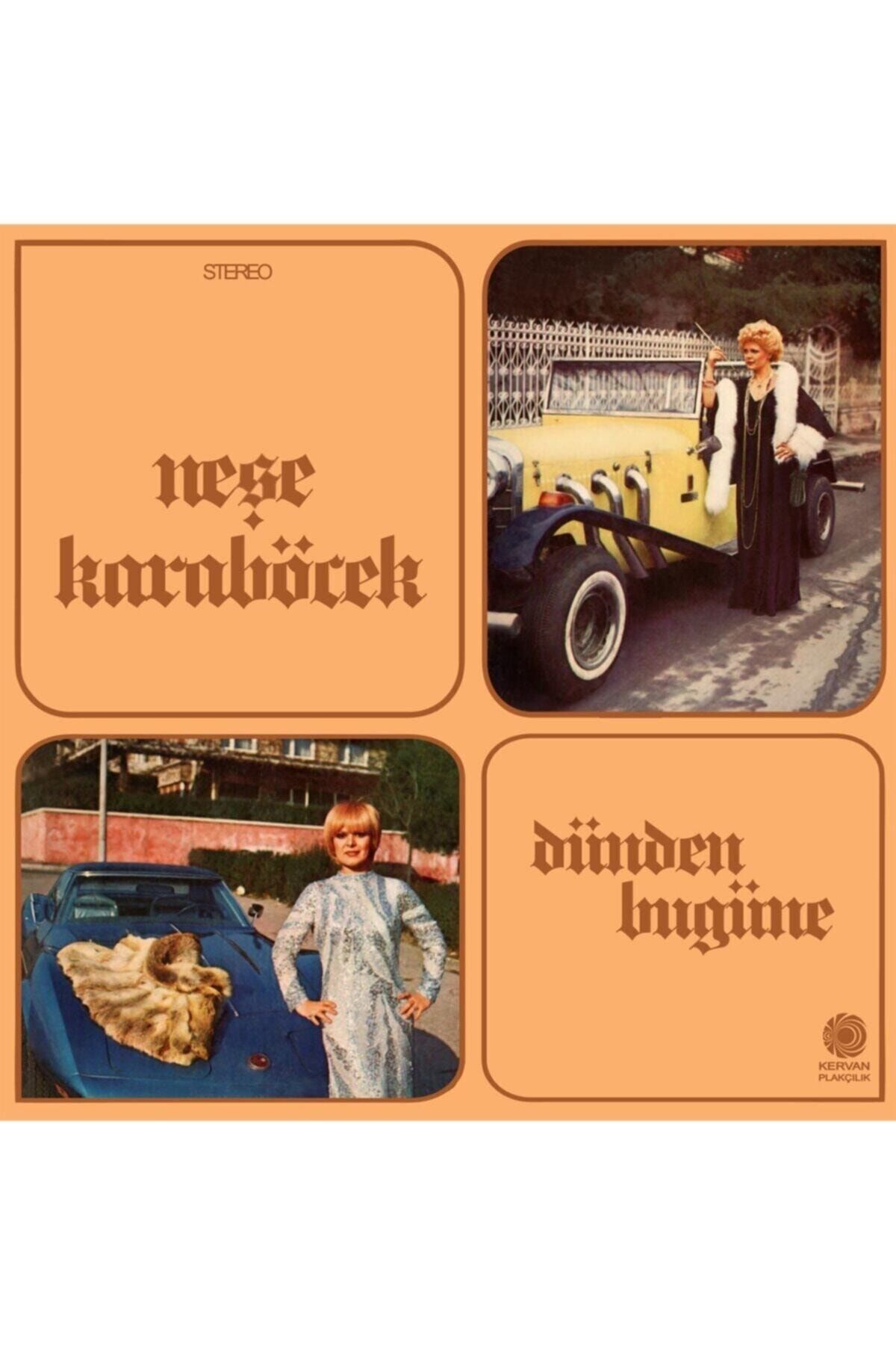 RNBW45 Neşe Karaböcek - Dünden Bugüne