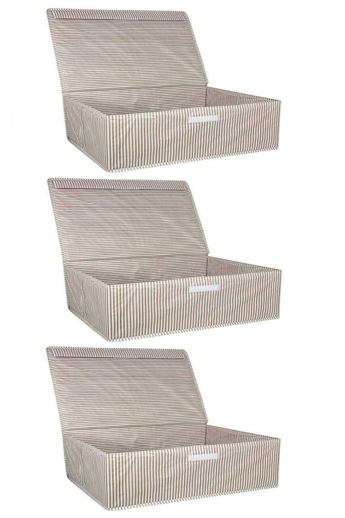 Vivyan 3 Adet Çok Amaçlı Düzenleyici Hurç Saklama Kutusu Baza Altı Boy 50x40x19 cm
