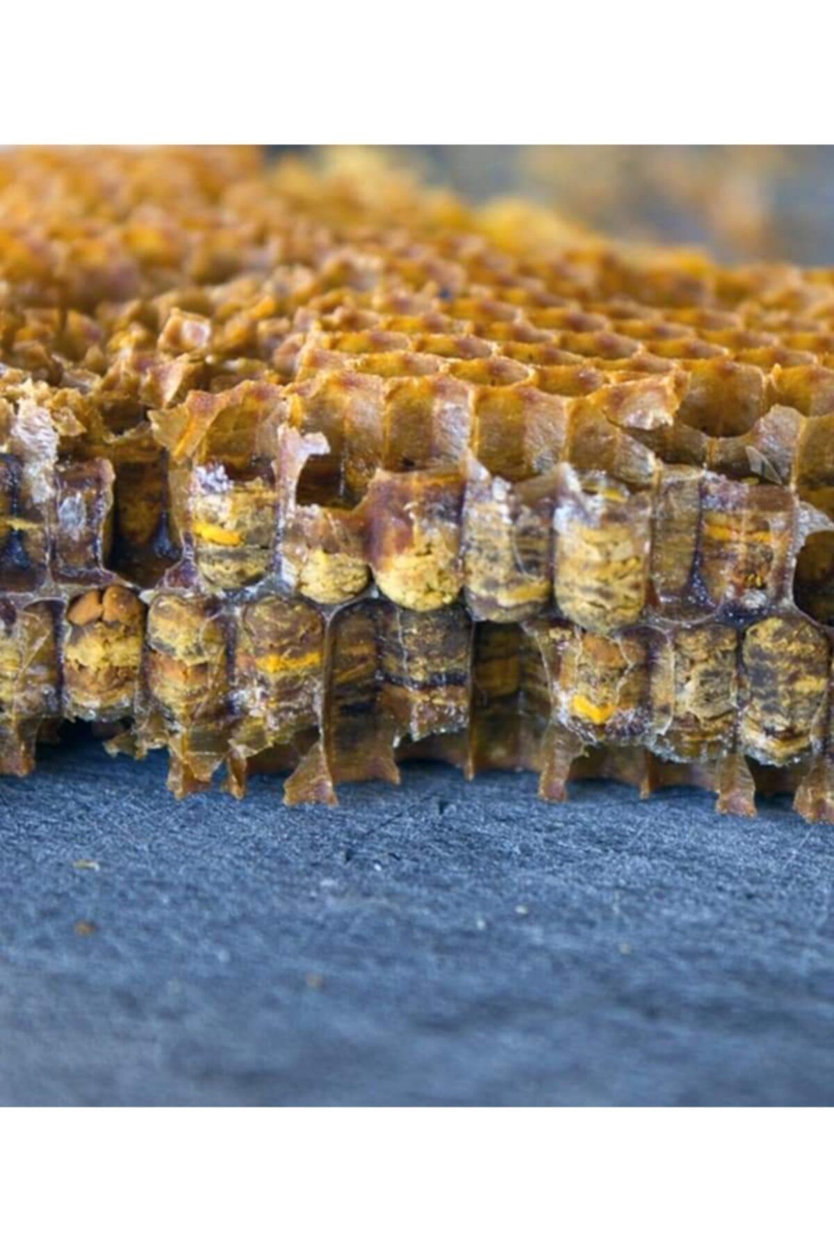 beezoveser Perga . Arı Ekmeği Fermente Polen 1 Kg