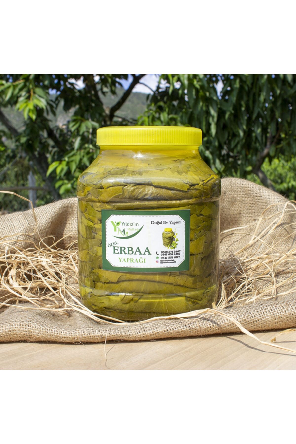 YİLDİZİNMUTFAGİ Tokat Erbaa Asma Salamura Yaprak 3 Kg