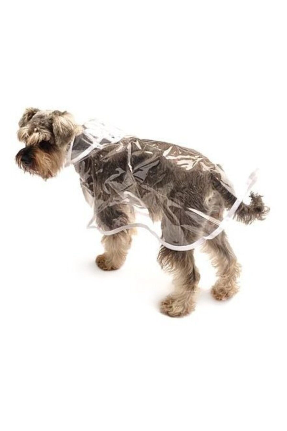 Petza Otso Şeffaf Köpek Yağmurluk