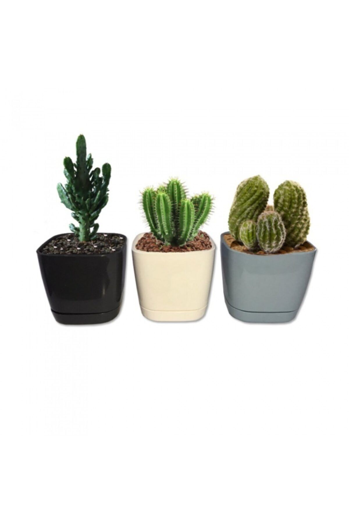 Farilya Concept Kaktüs Kare Saksı 0.25l, Mini Saksı 3 Adet, Kaktüs Saksı
