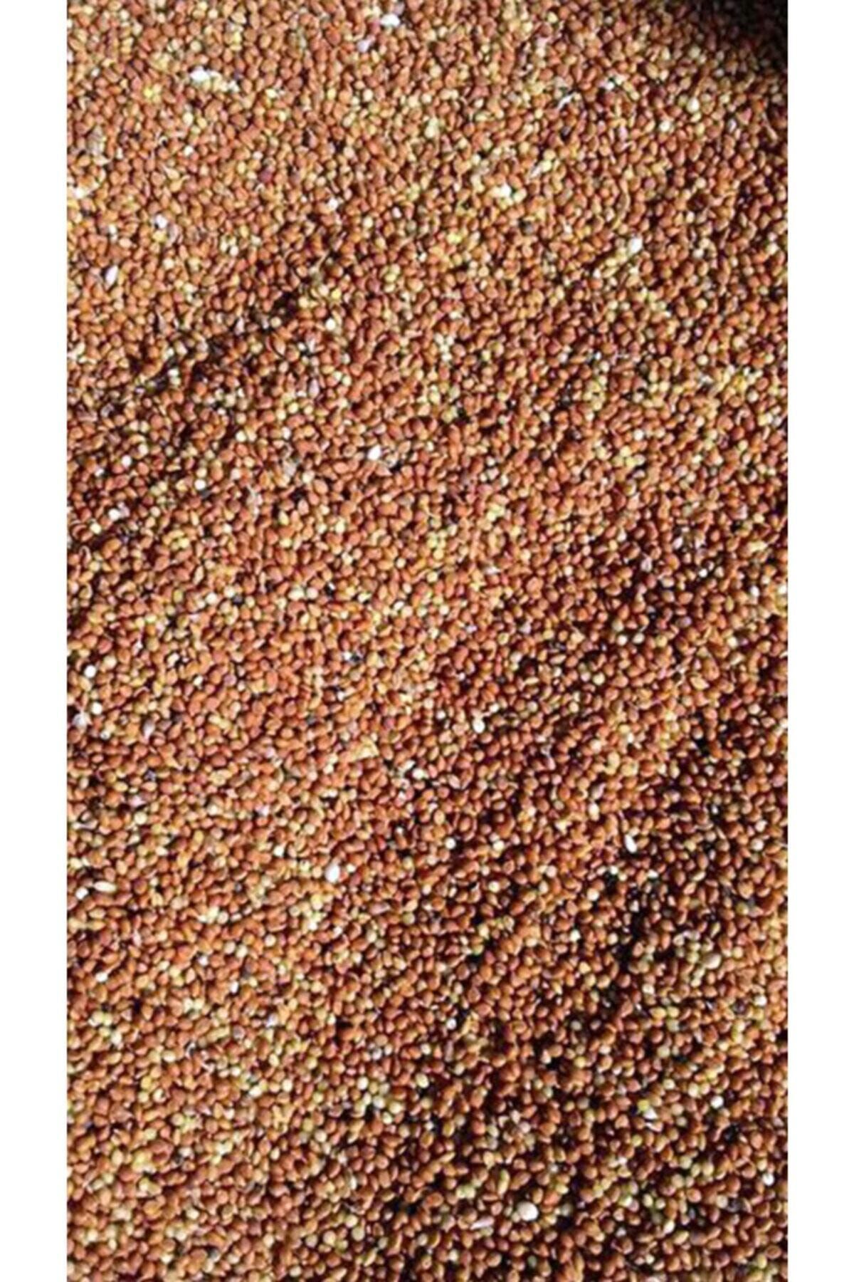 Petdoys Organik Elenmiş Kızıl Darı Tilki Kuyruğu 250 Gram