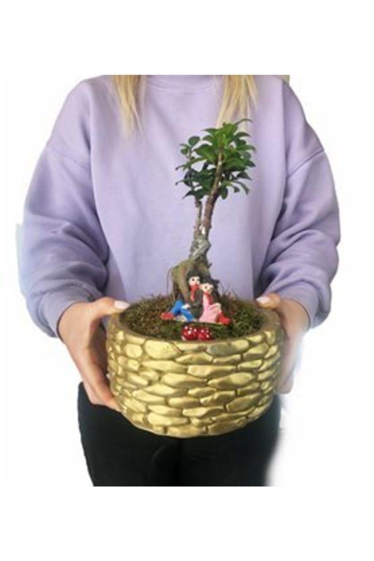 Hasal Süs Bitkileri Ficus Ginseng Bonsai & Sırt Sırta Sevgili Biblo & Altın Honey Beton Saksıda Hediyelik Canlı Çiçek