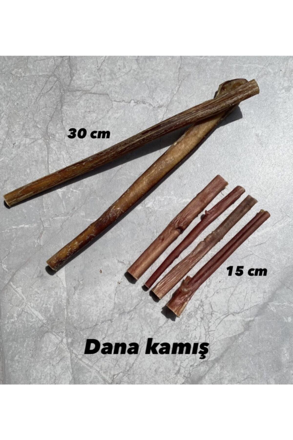 Pati Gurme Dana Kamış 15 Cm %100 Doğal Köpek Ödül Maması