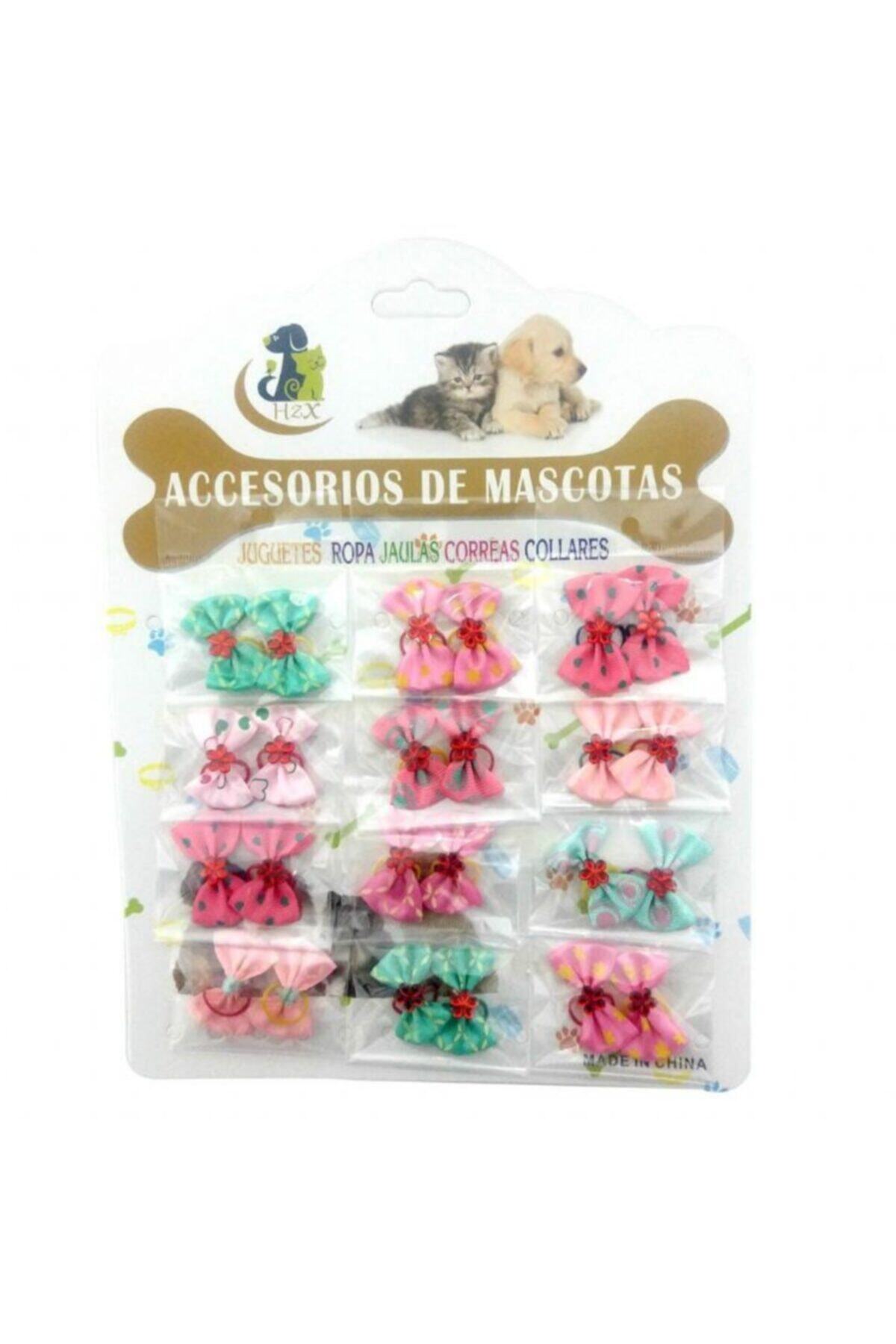 Maxi Life Minoşpetmama Maxilife Küçük Irk Köpek Toka