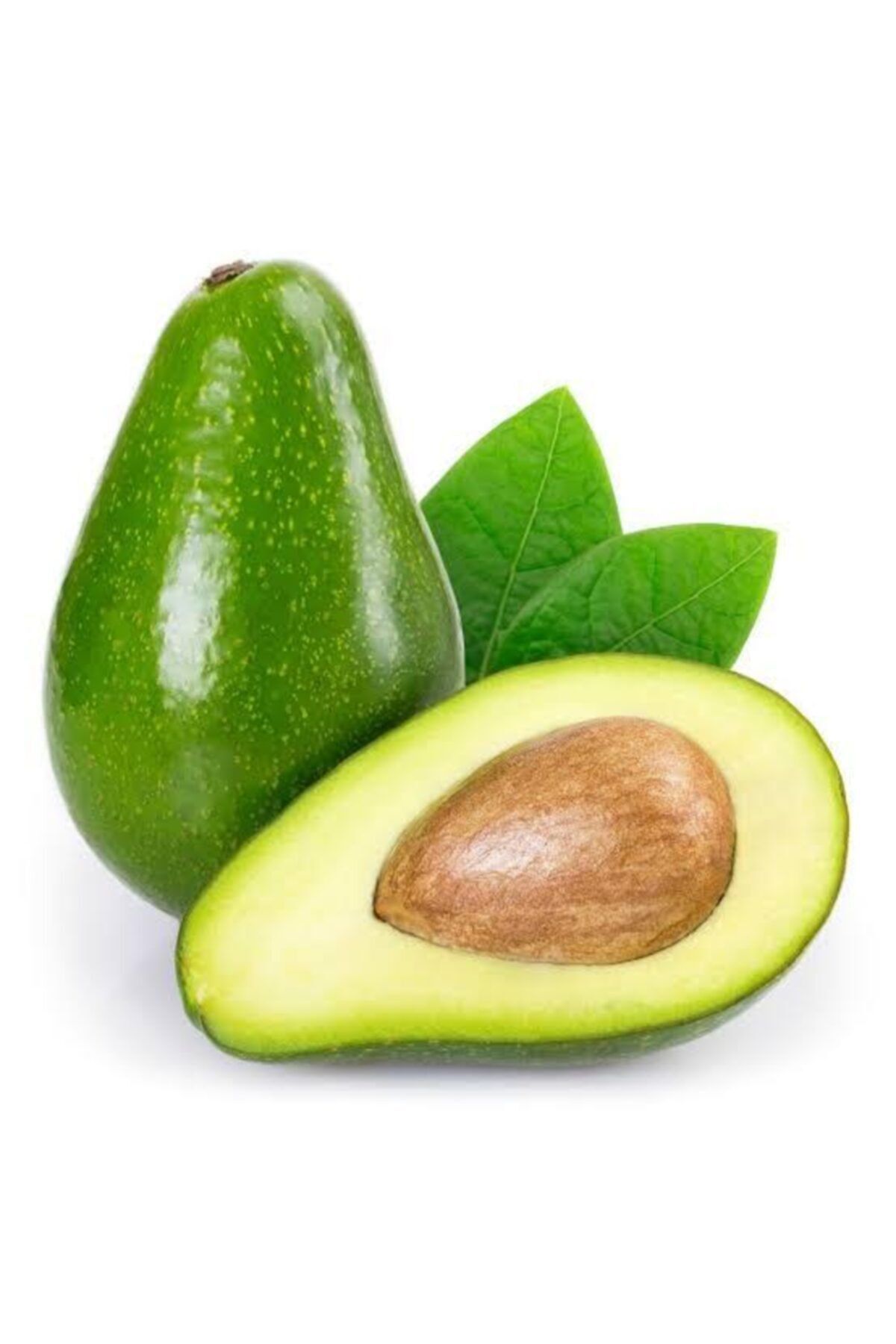 Hal Avakado