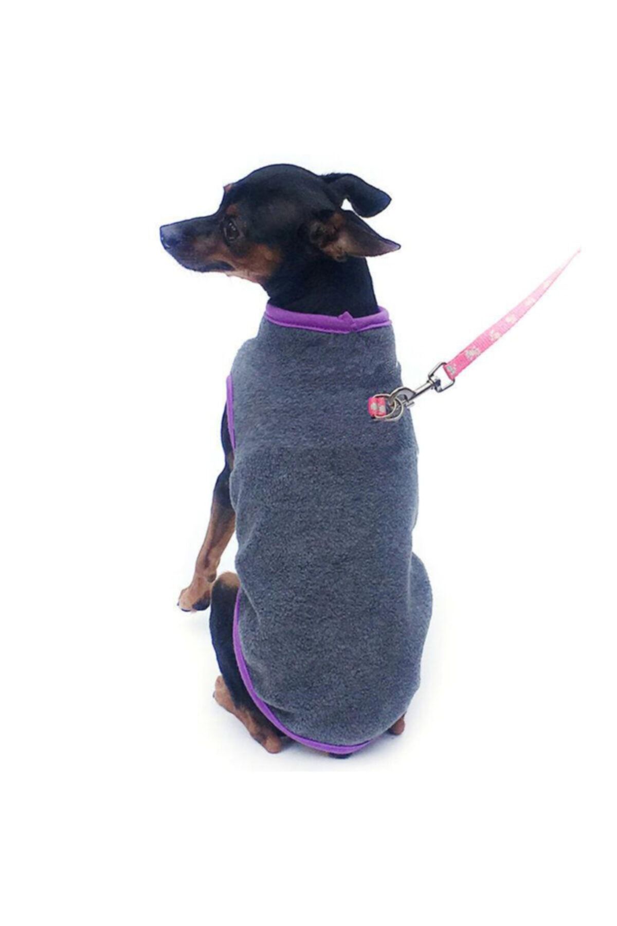 Petwinn Polar Kedi Köpek Kıyafeti