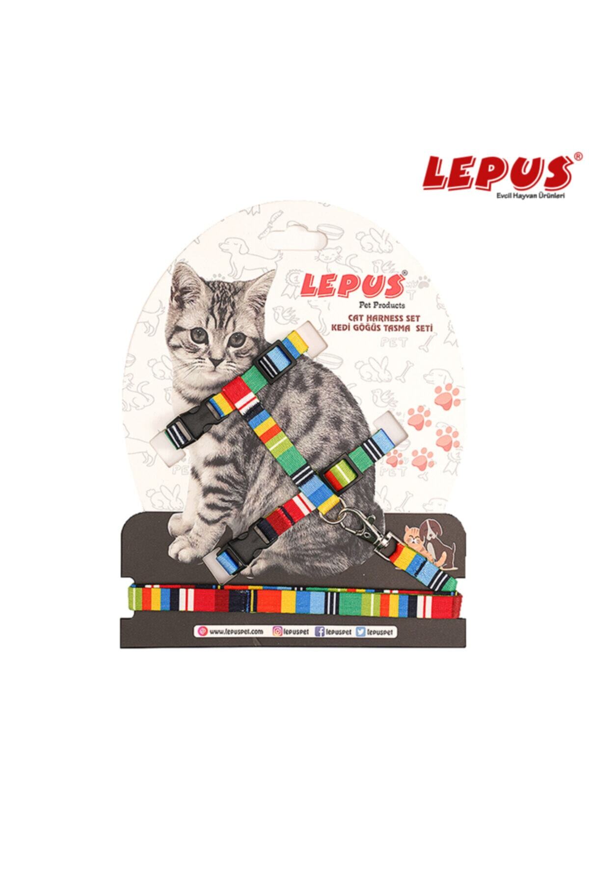 Lepus Kedi Göğüs Destekli Tasma Seti Kayışlı