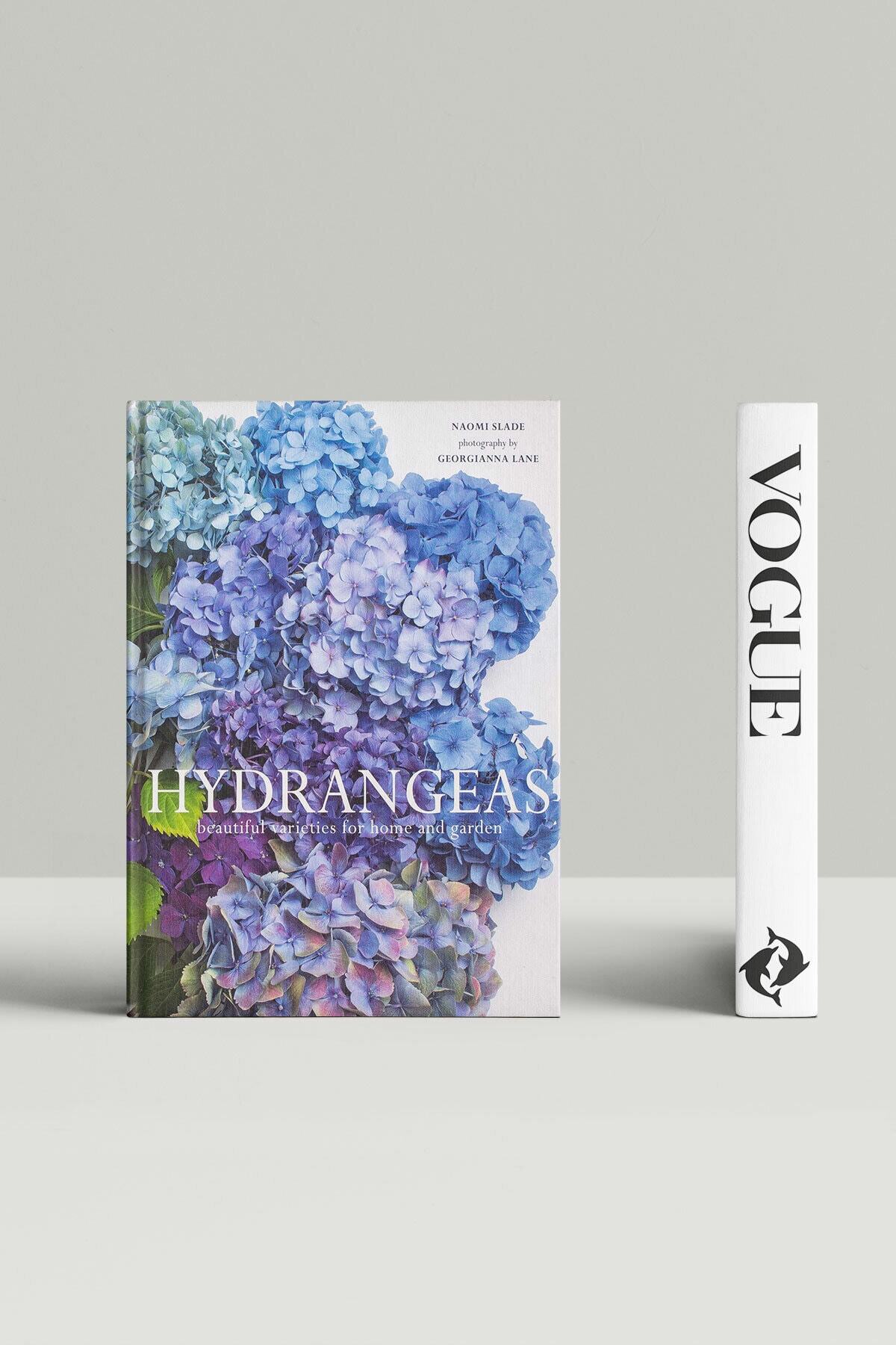 RetroLazer Dekoratif Kitap Kutu Aksesuar 81