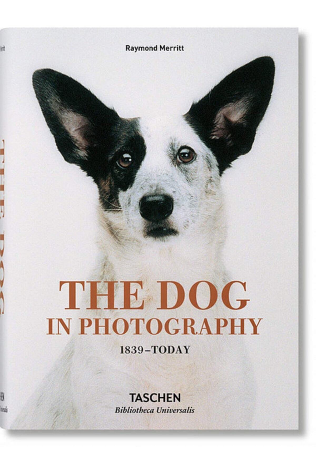 Taschen The Dog In Photography 1839 Today - Raymond Merritt -