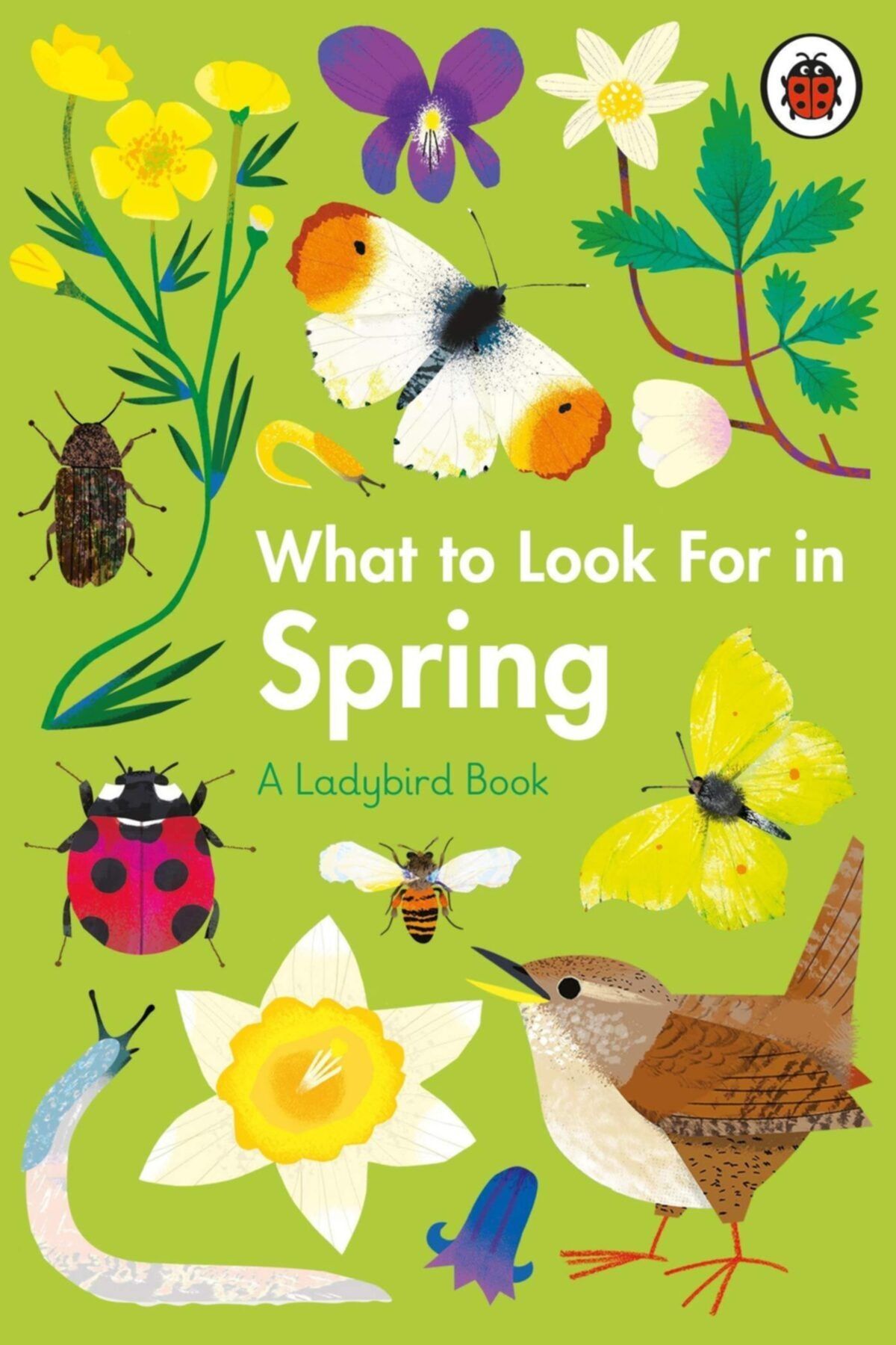Ladybird Book What To Look For In Spring