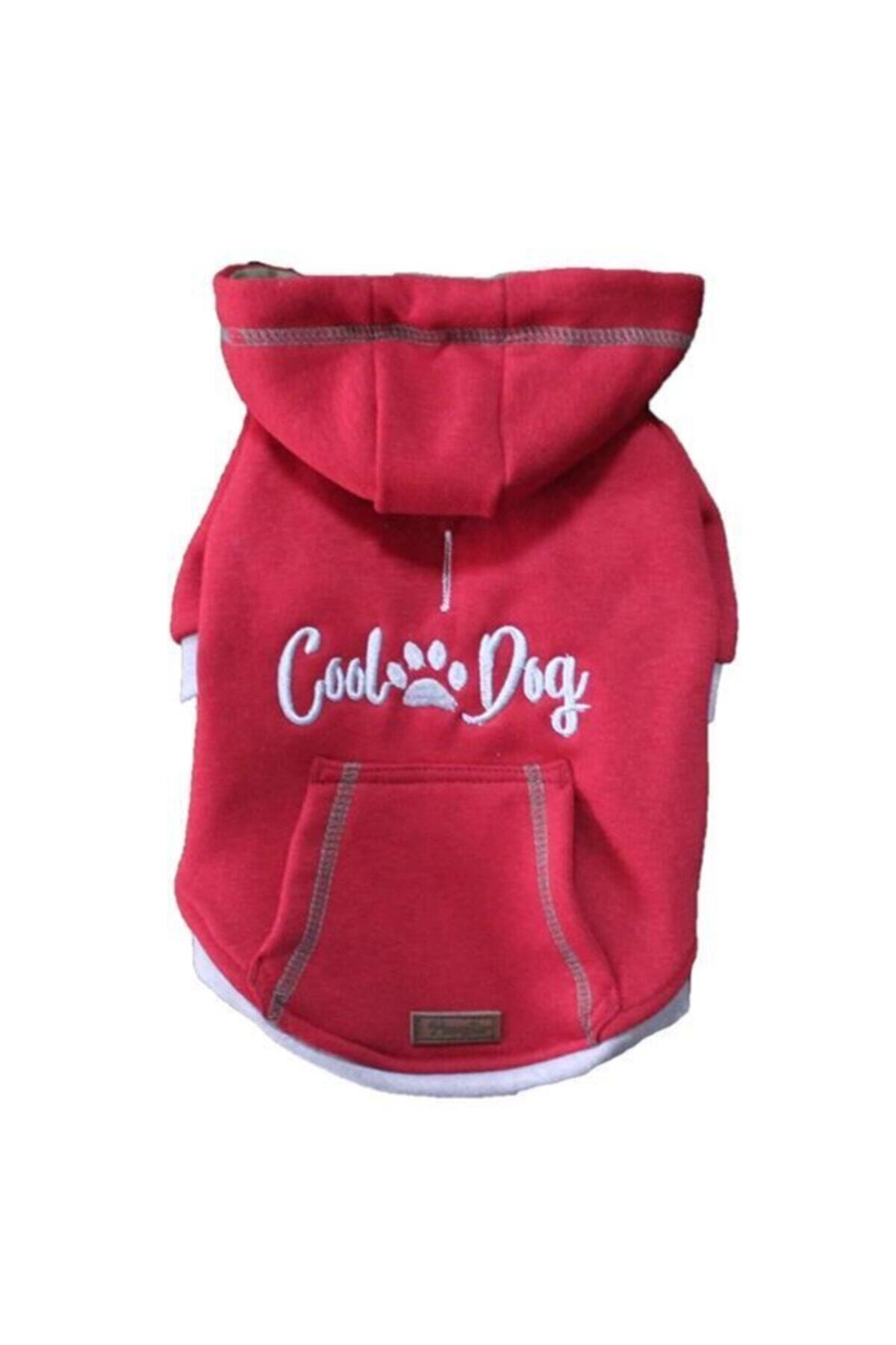 Pawstar Bordo Cool Köpek Sweat-xl