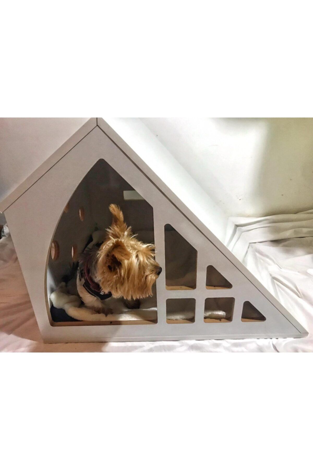 PetDesignsTorm Pet-designs-torm / Kedi Köpek Evi Küçük Irk