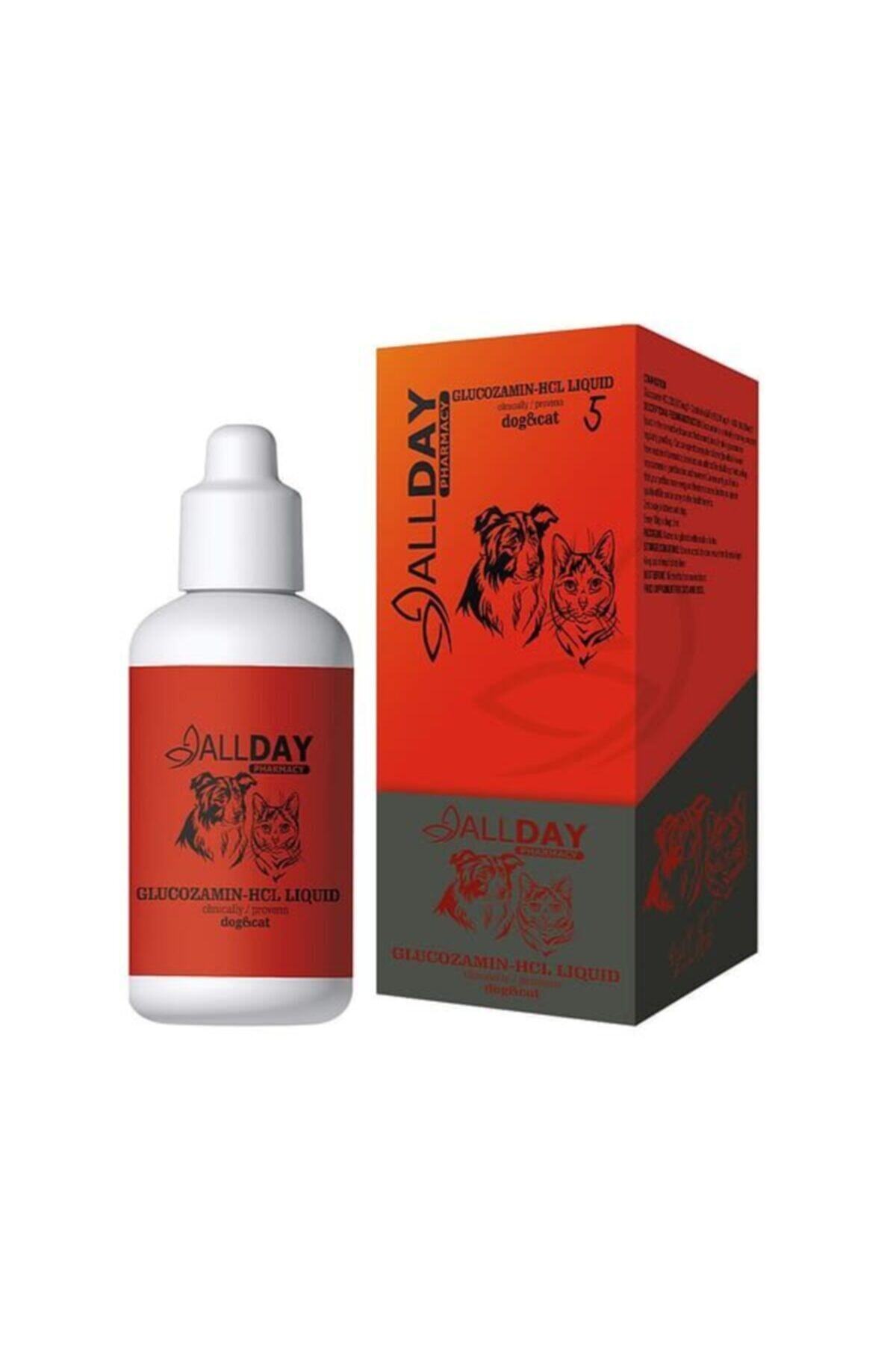 ALLDAY PHARMACY Allday Glukozamin-hcl Liquid 100 Ml