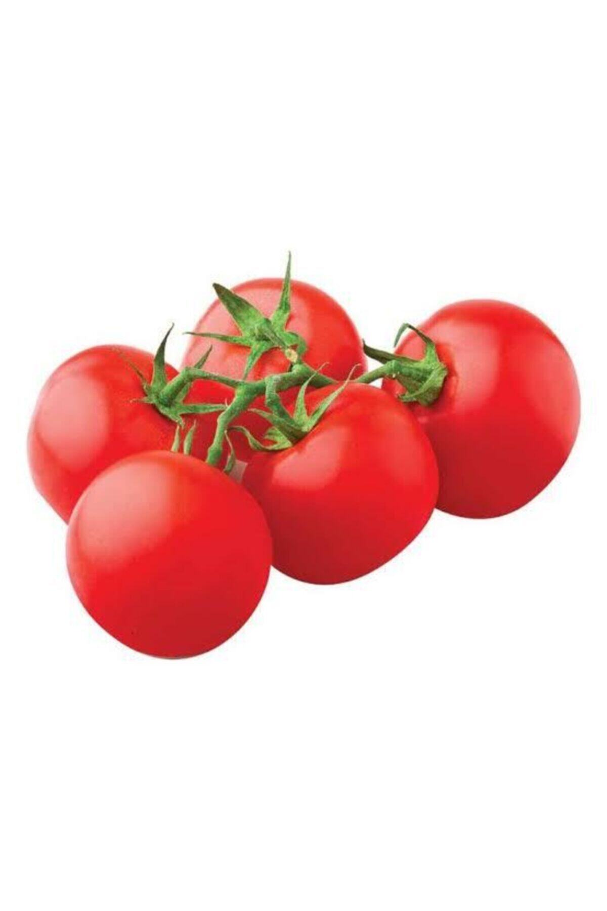Hal Salkım Domates