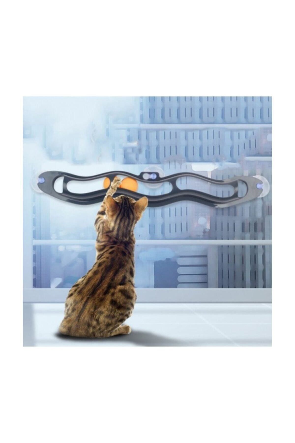 CMT Vantuzlu Kedi Oyun Tüneli 54cm Söz Er