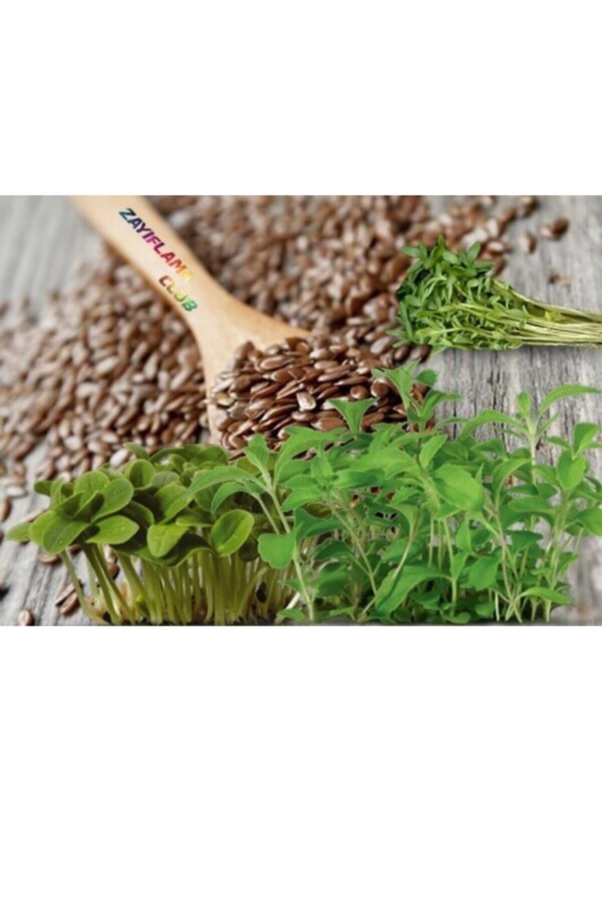 BİTKİBABA Tere Tohumu Açık 250 Gr