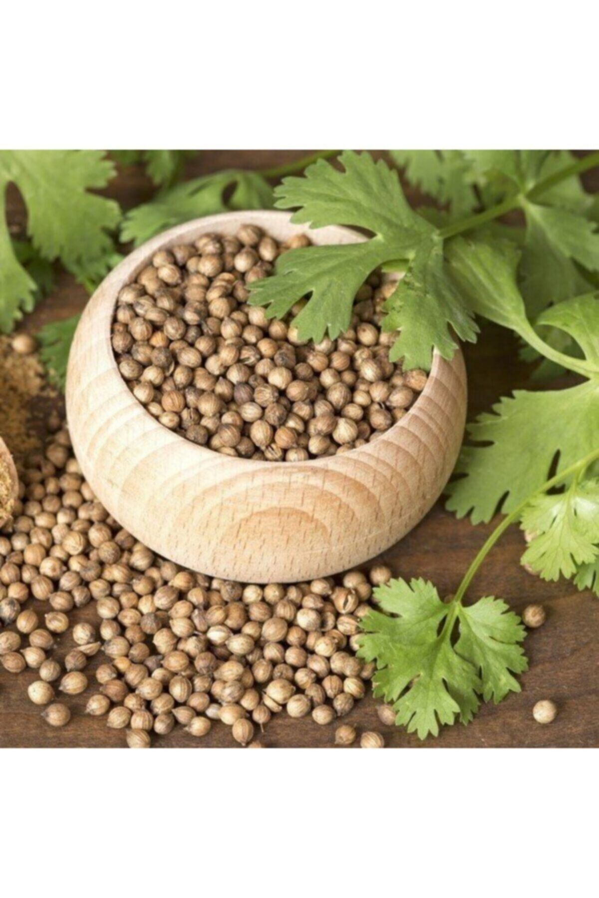 BİTKİBABA Tane Kişniş 500 Gr