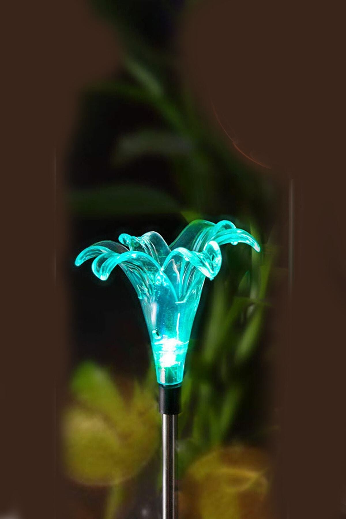 bimbambom Solar Bahçe Lambası Şeffaf Zambak (7703),renkli Dekoratif Bahçe Aydınlatma