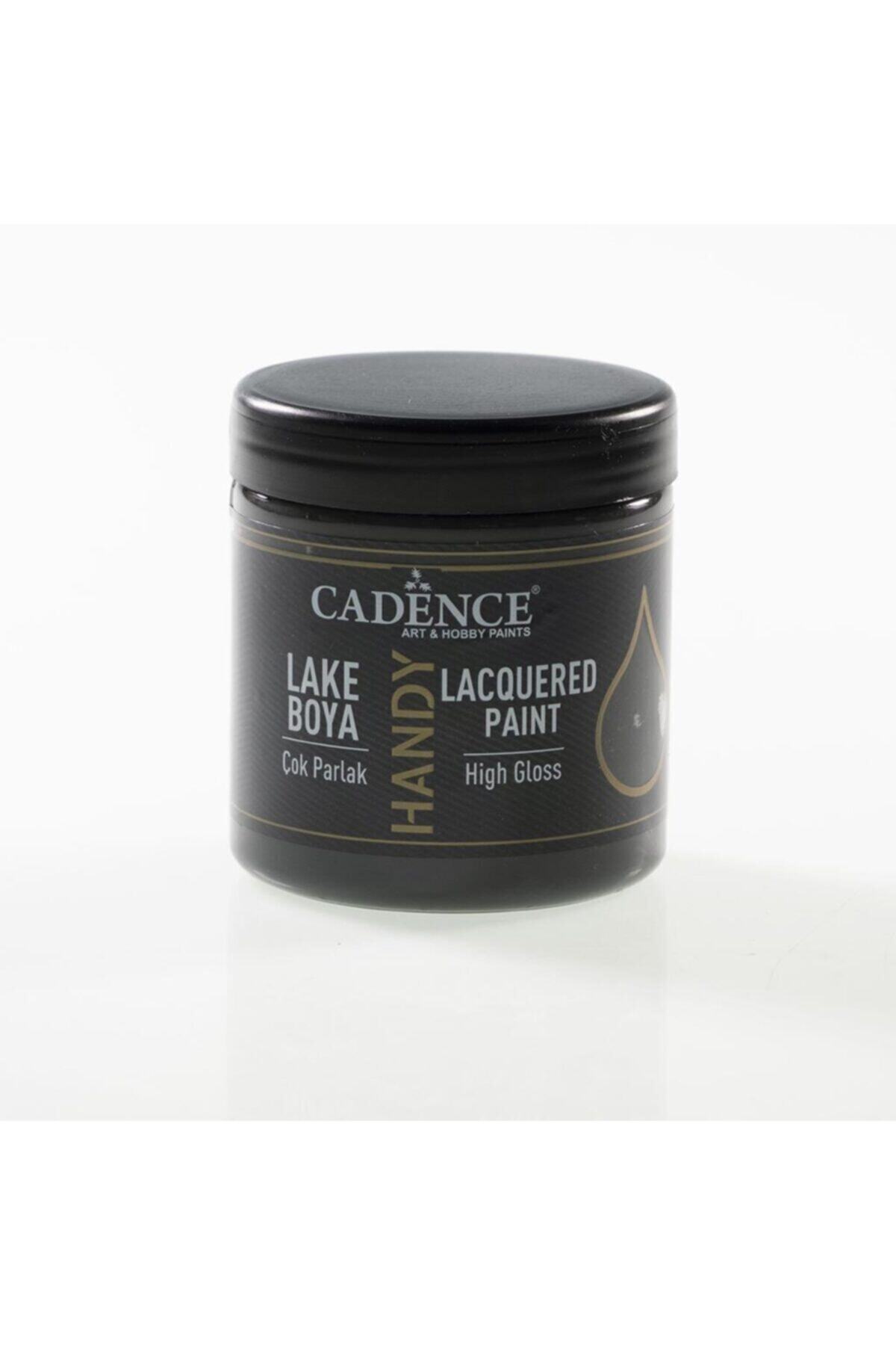 Cadence Handy Lake Boya Parlak 250ml 059 Antrasit
