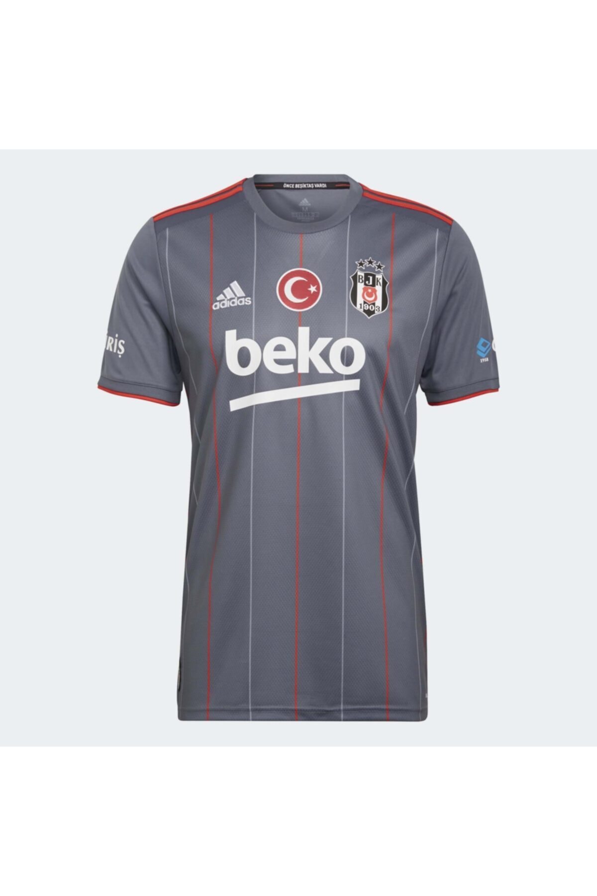 Beşiktaş Beşiktaş Jk 21/22 Erkek Gri Üçüncü Takım Forması (gt9592)