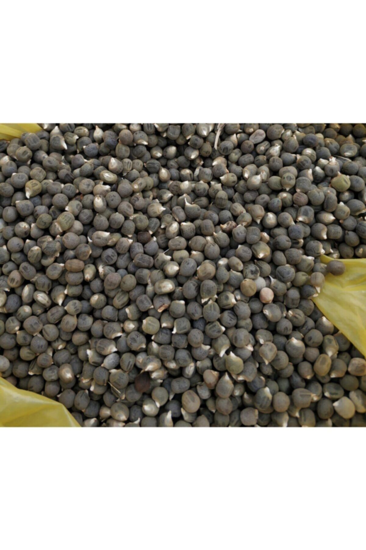 BİTKİBABA Bamya Tohumu Açık 500 Gr