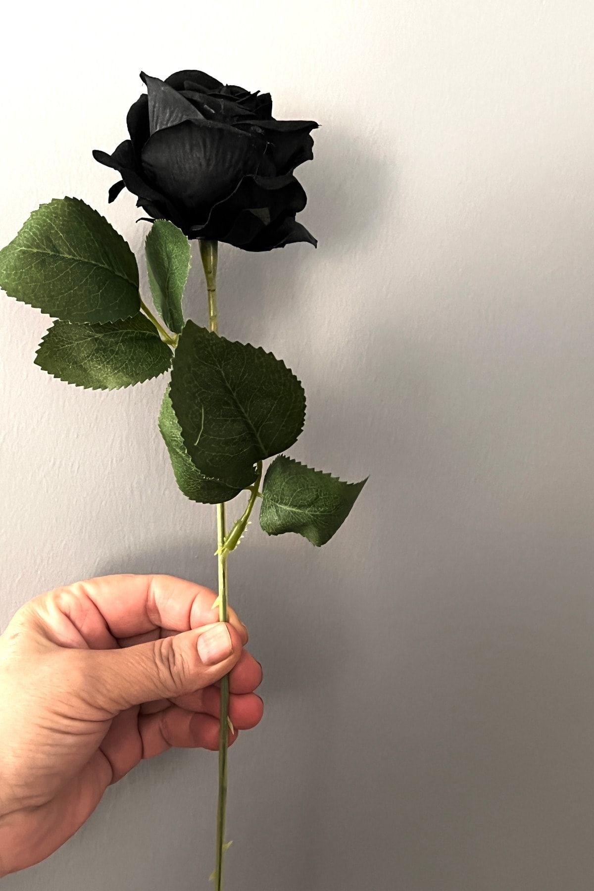 thebouqet Yapay Gül Dalı Kadife 50 Cm Halfeti Siyah 5 Adet