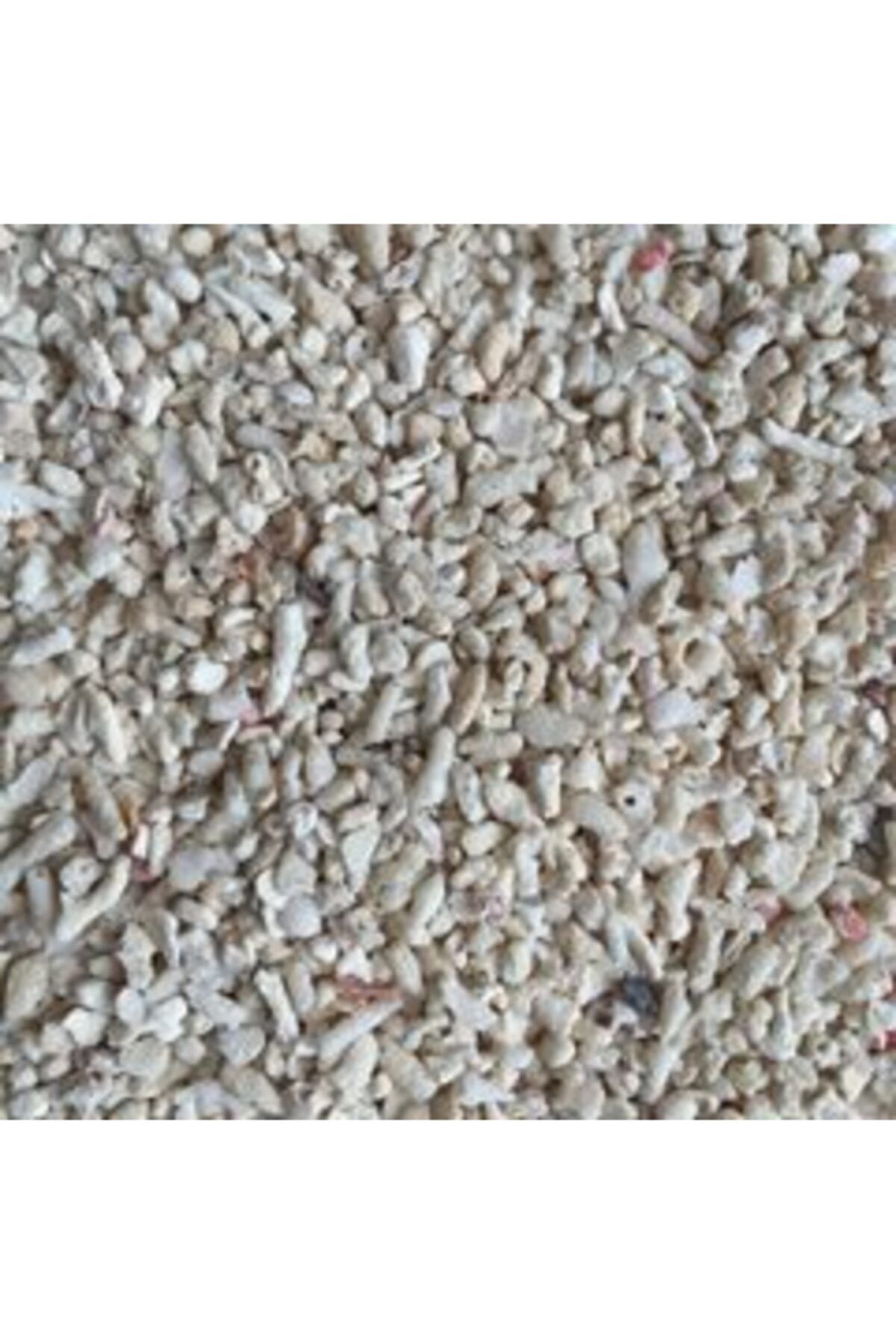 Oceanmax Mercan Kırığı 2-4mm 20kg