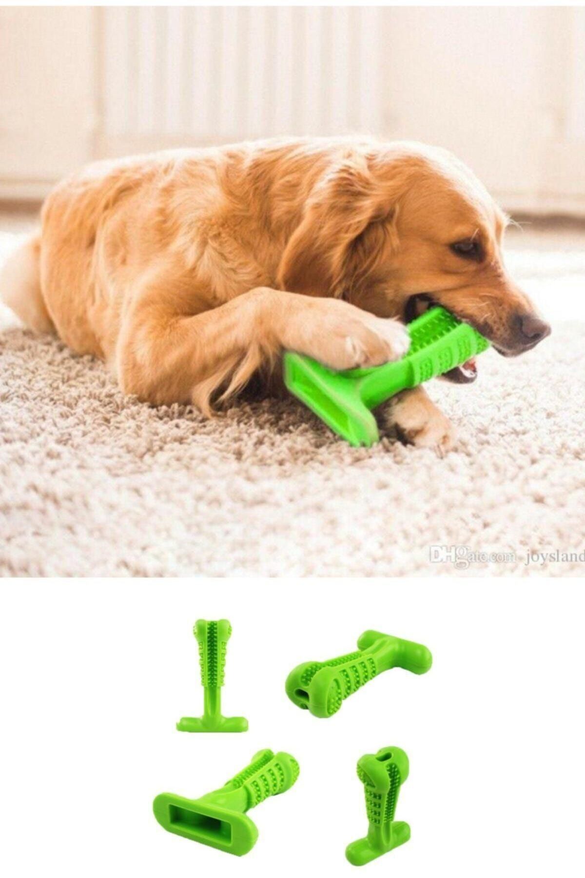 Neptüns Köpek Diş Temizleyici Oyuncak Büyük