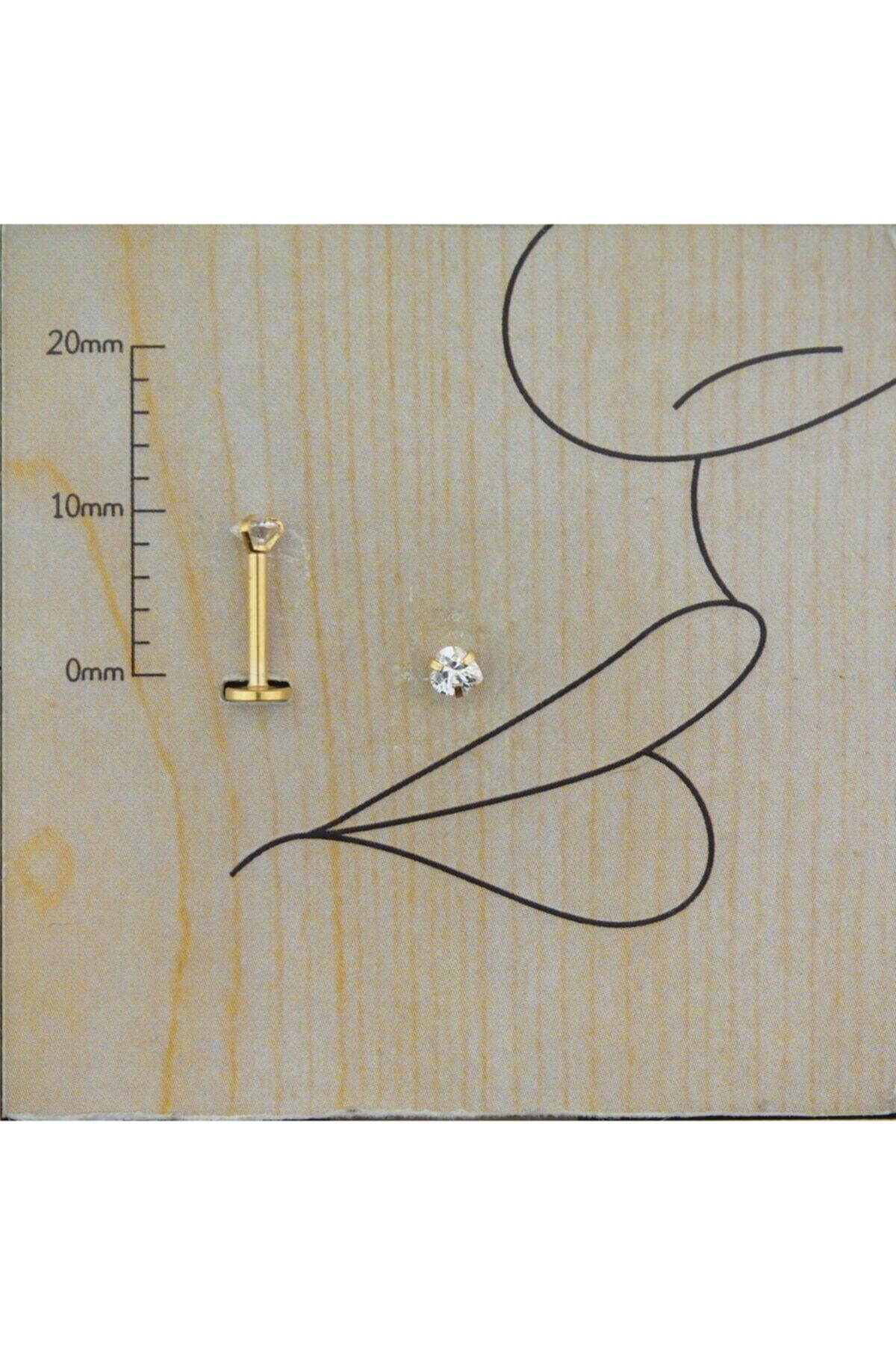 Abuksubukşeyler Cerrahi Çelik Zirkon Kalp Dudak Piercing 3 Mm