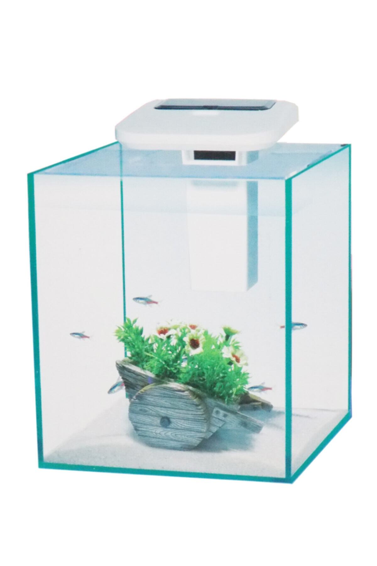 Dophin Dophın Cam Akvaryum Set 25x25x30