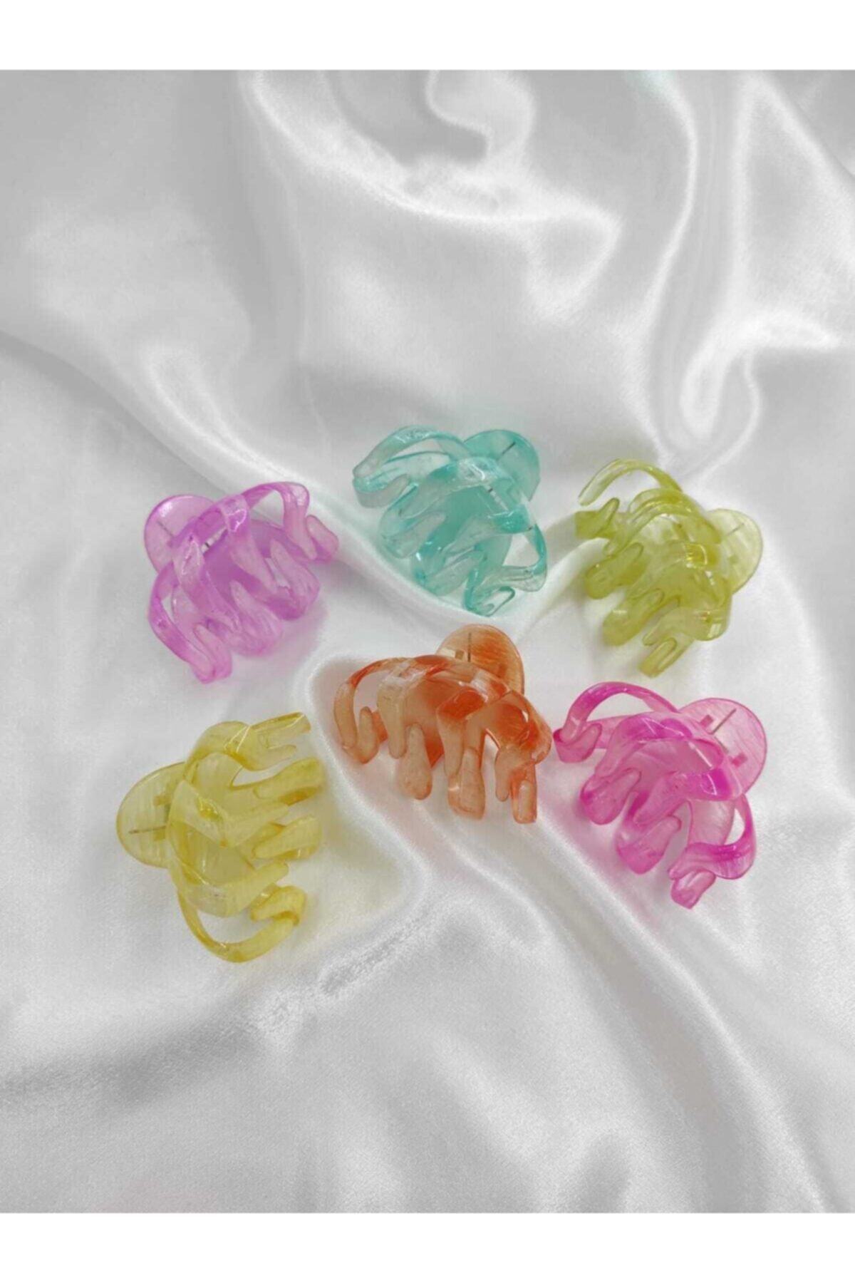 ilge Kadın 6'lı Şeffaf Ahtapot Model Mandal Toka Seti - Kıstırmalı Klipsli Toka