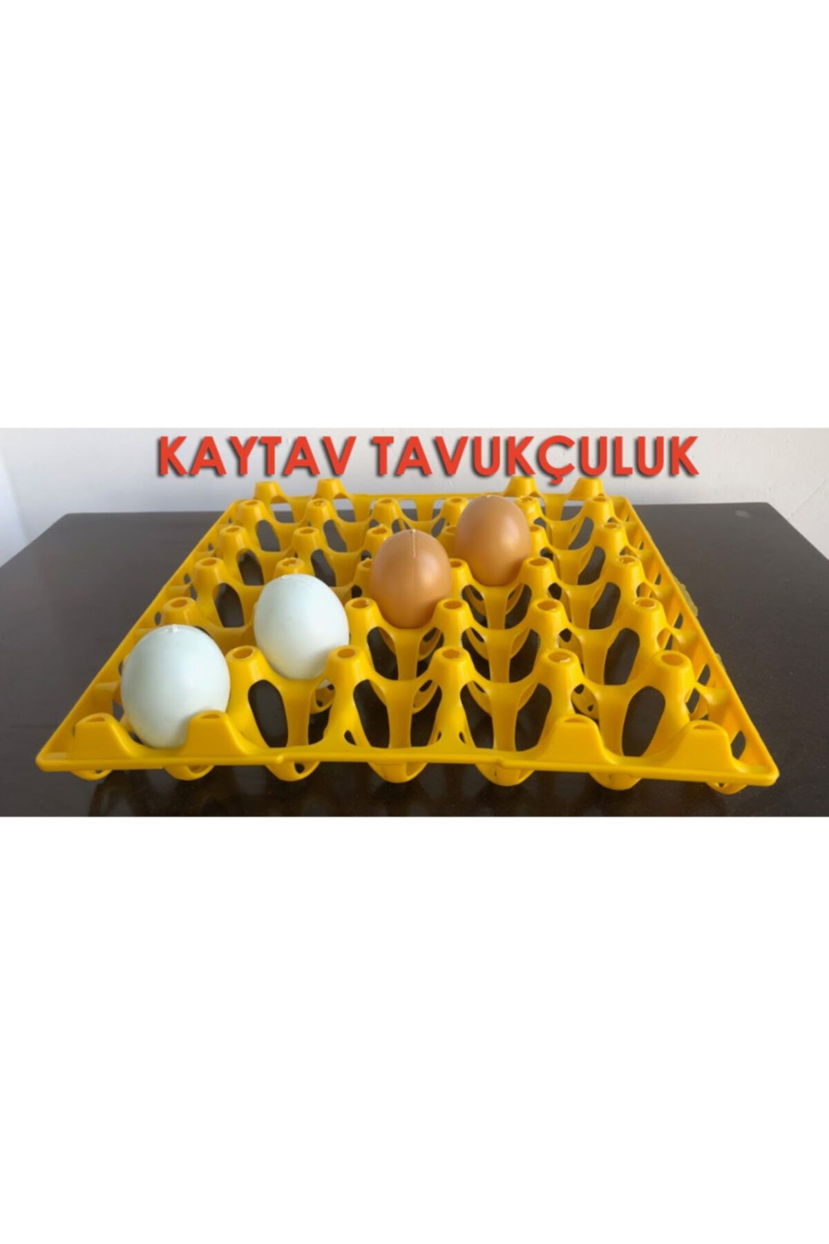 KAYA PLASTİK 30 Lu Plastik Yumurta Viyölü (10 Adet) (kargo Bedava)