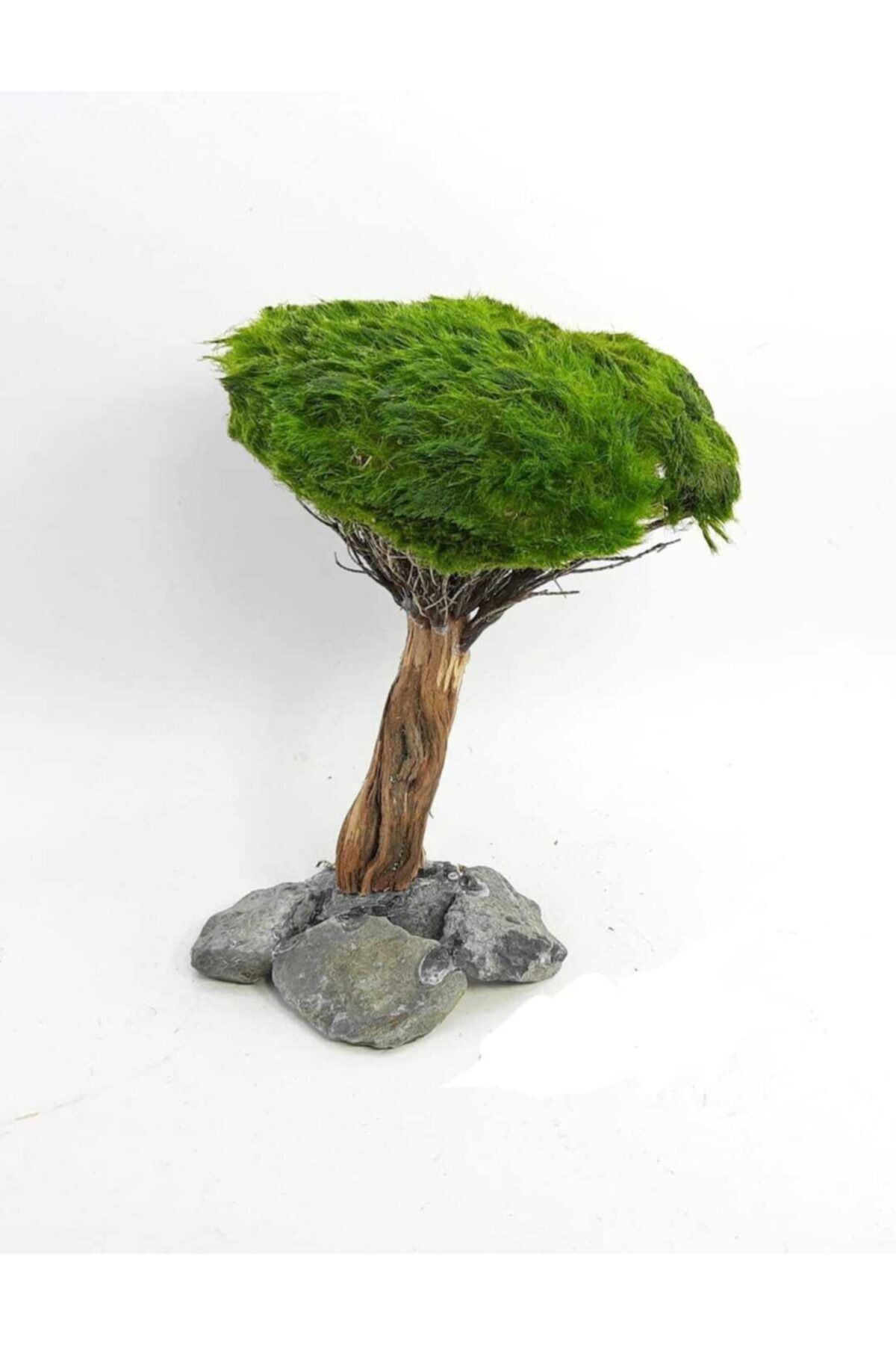 Sakura Ağaç Figürü Moss Sarılı 'm'