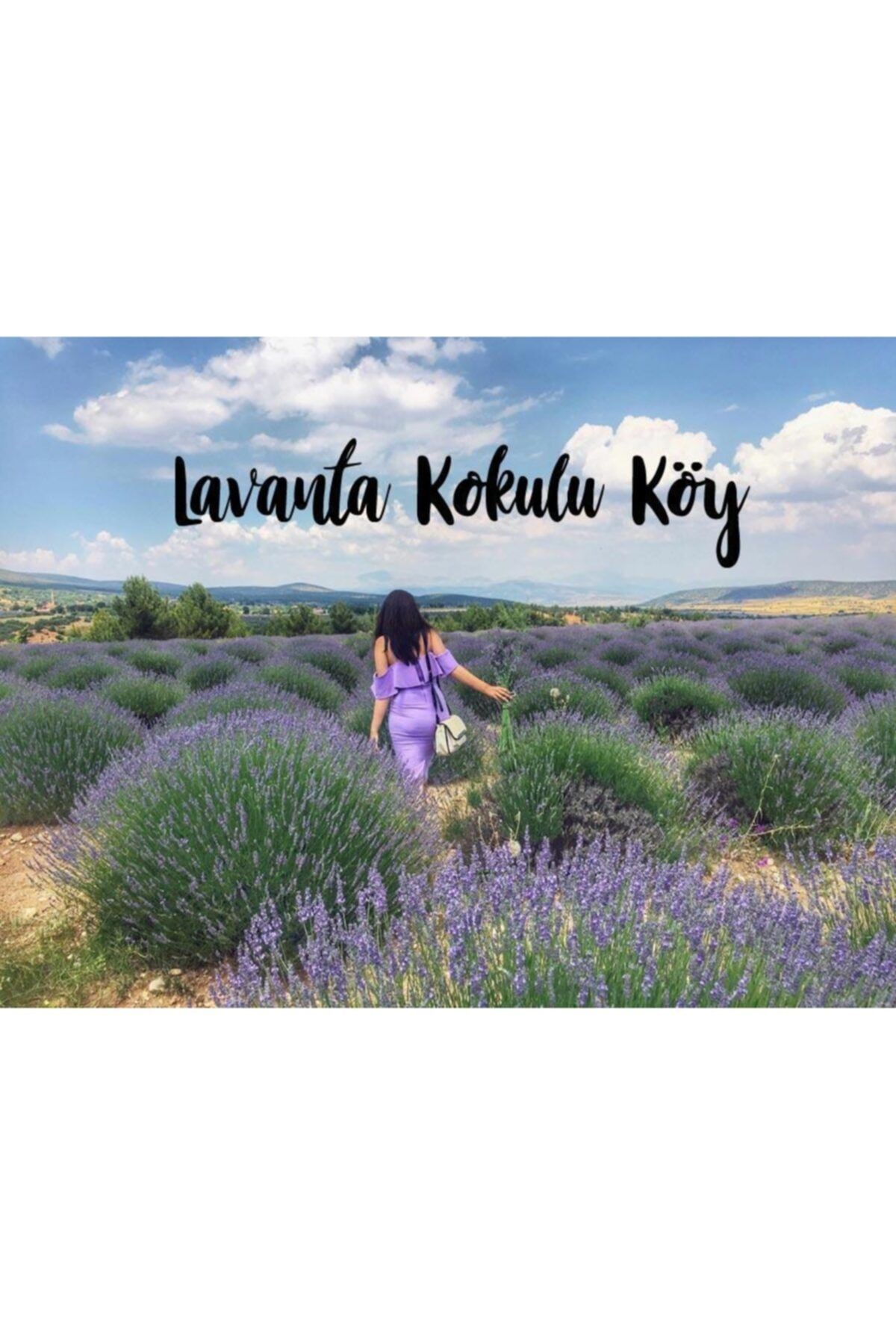 Mimoza Doğal Lavanta Çiçeği Kurusu 250 Gr