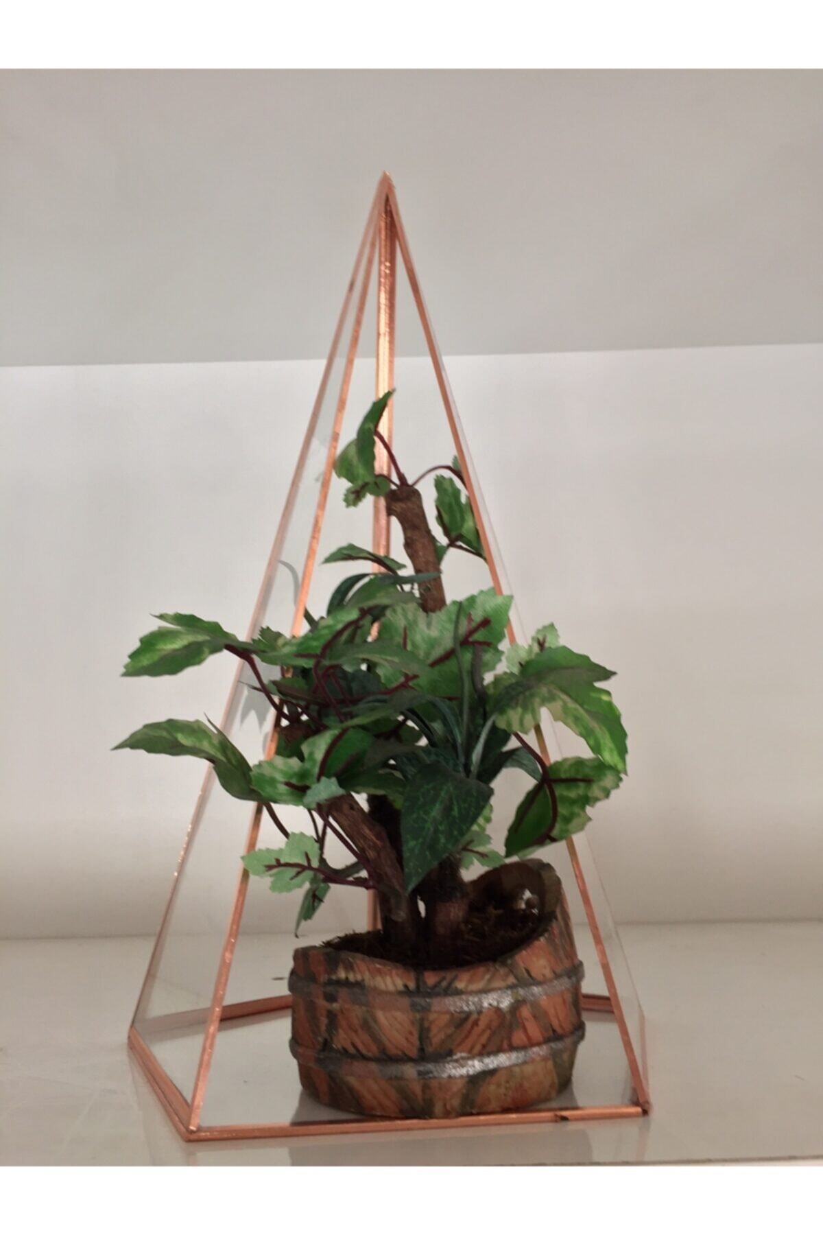 GÜVEN Cam Piramit Dekoratif Obje Teraryum Şamdan