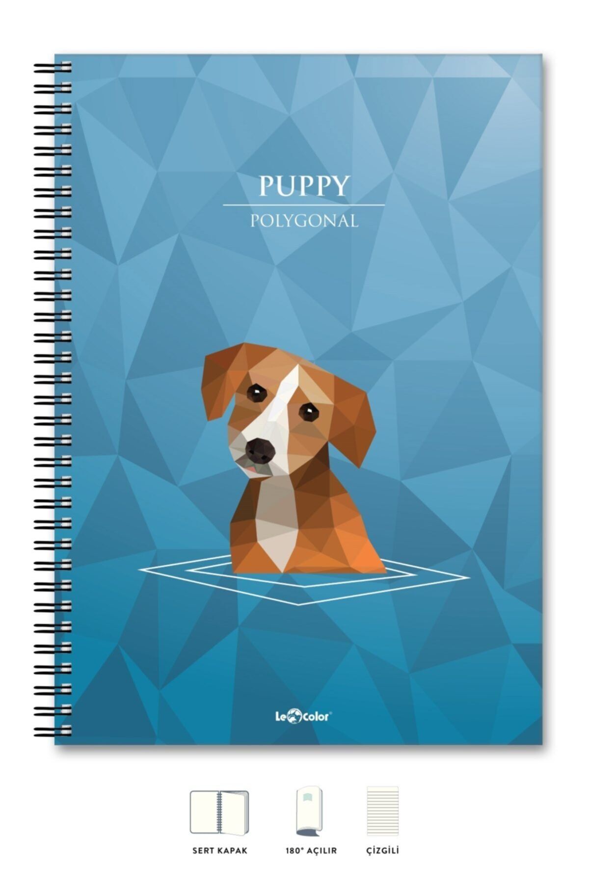 Le Color Okul Defter Esnek Kap A5 Çizgili 200sy Polygonal Akademik