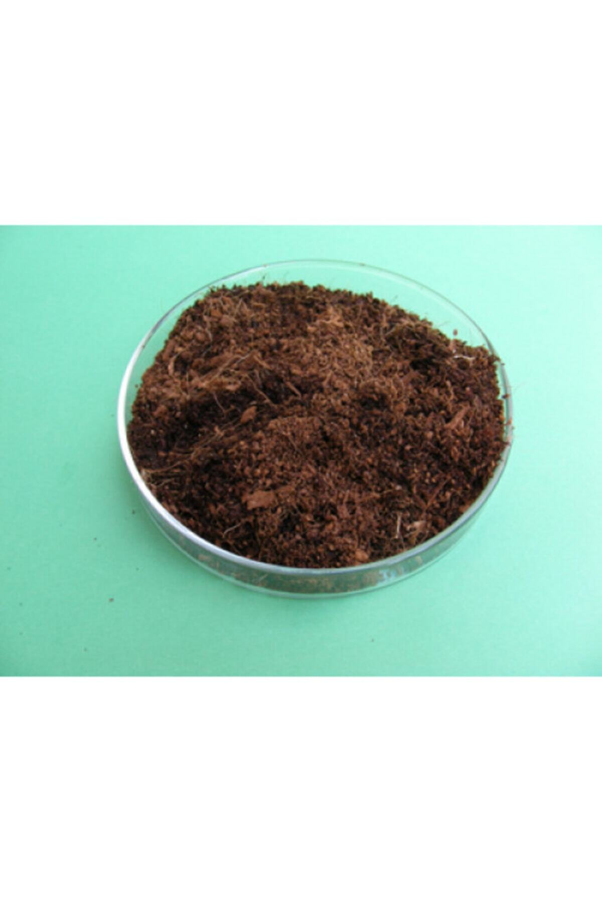 toprak Cocopeat 4 Litre Kokopit Hindistan Cevizi Torfu Süs Bitkileri Fideler Tohumlar Için Kaktüs