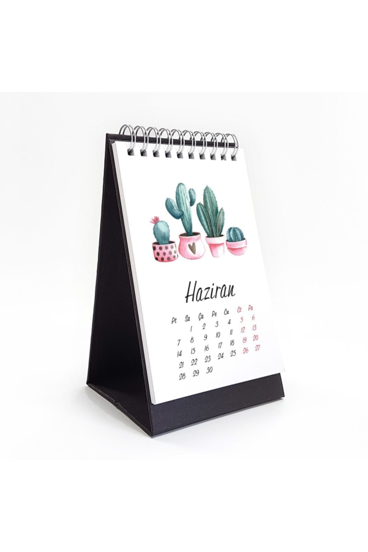 bi'aldım Kaktüs Masa Takvimi