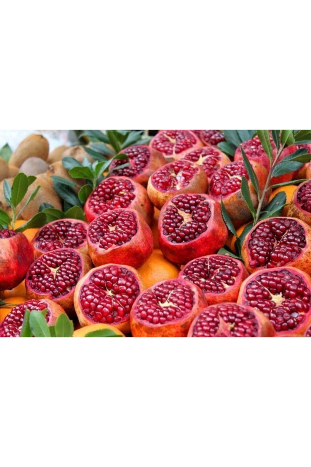 Hizan Karakovan Organik Zivzik Narı 1 kg