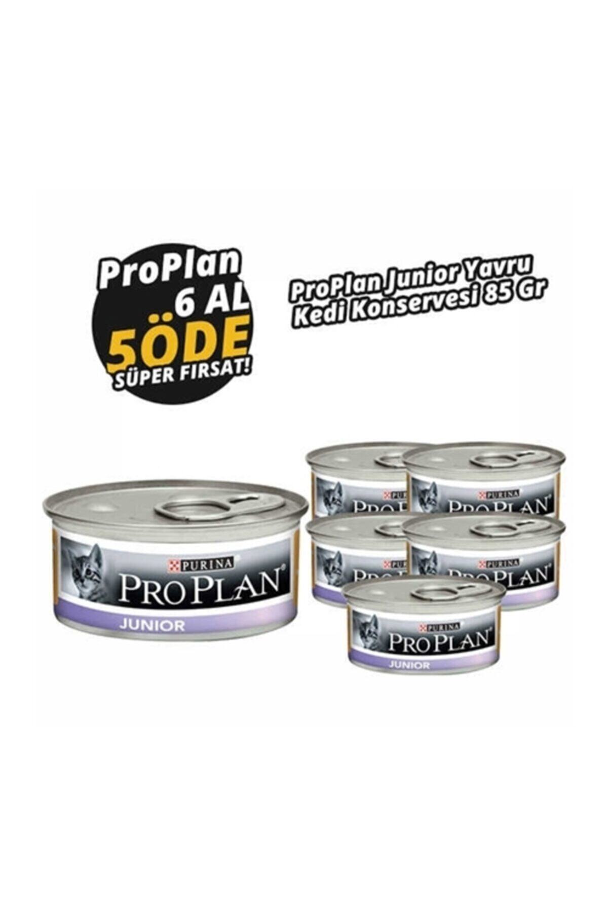 Purina Pro Plan Pro Plan Junior Kedi Yaş Mama 85gr 6adet