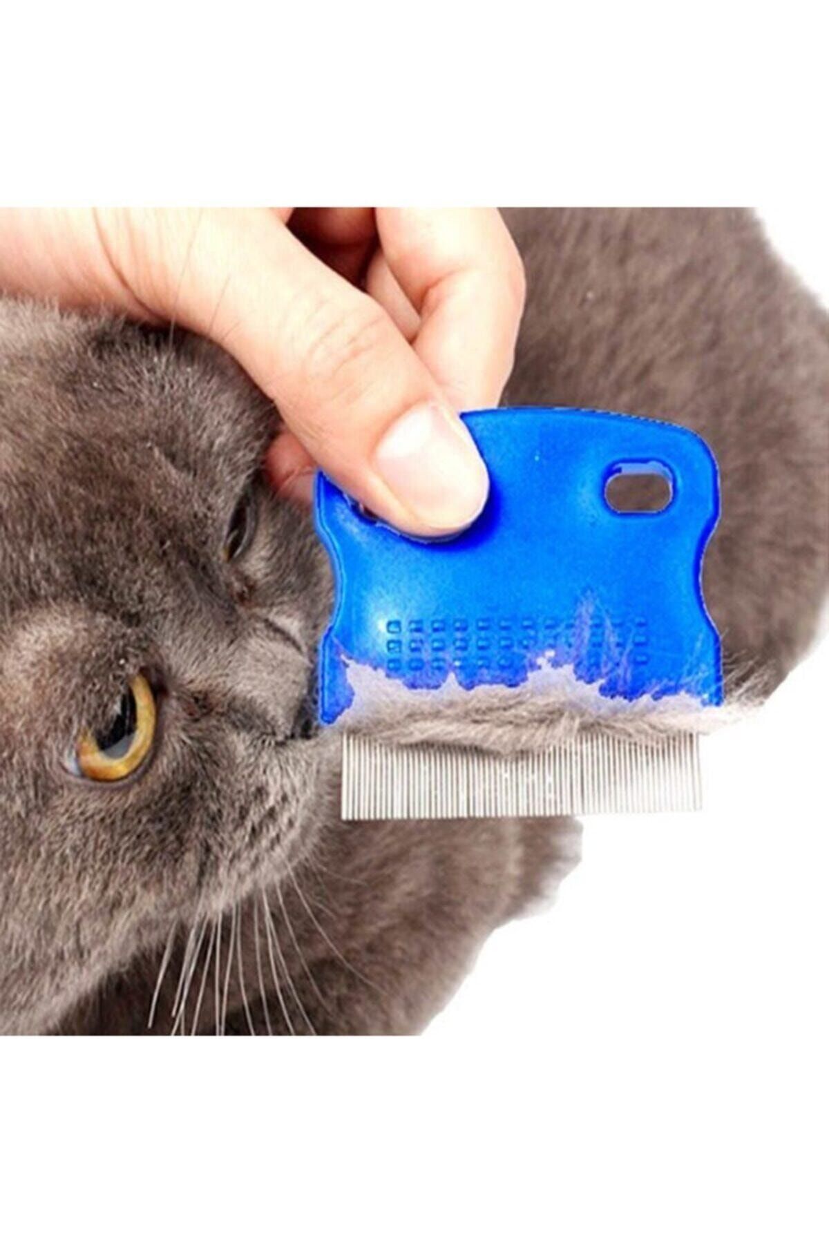 Catdoglife Tımar Tarağı Bit Ve Pire Toplayıcı