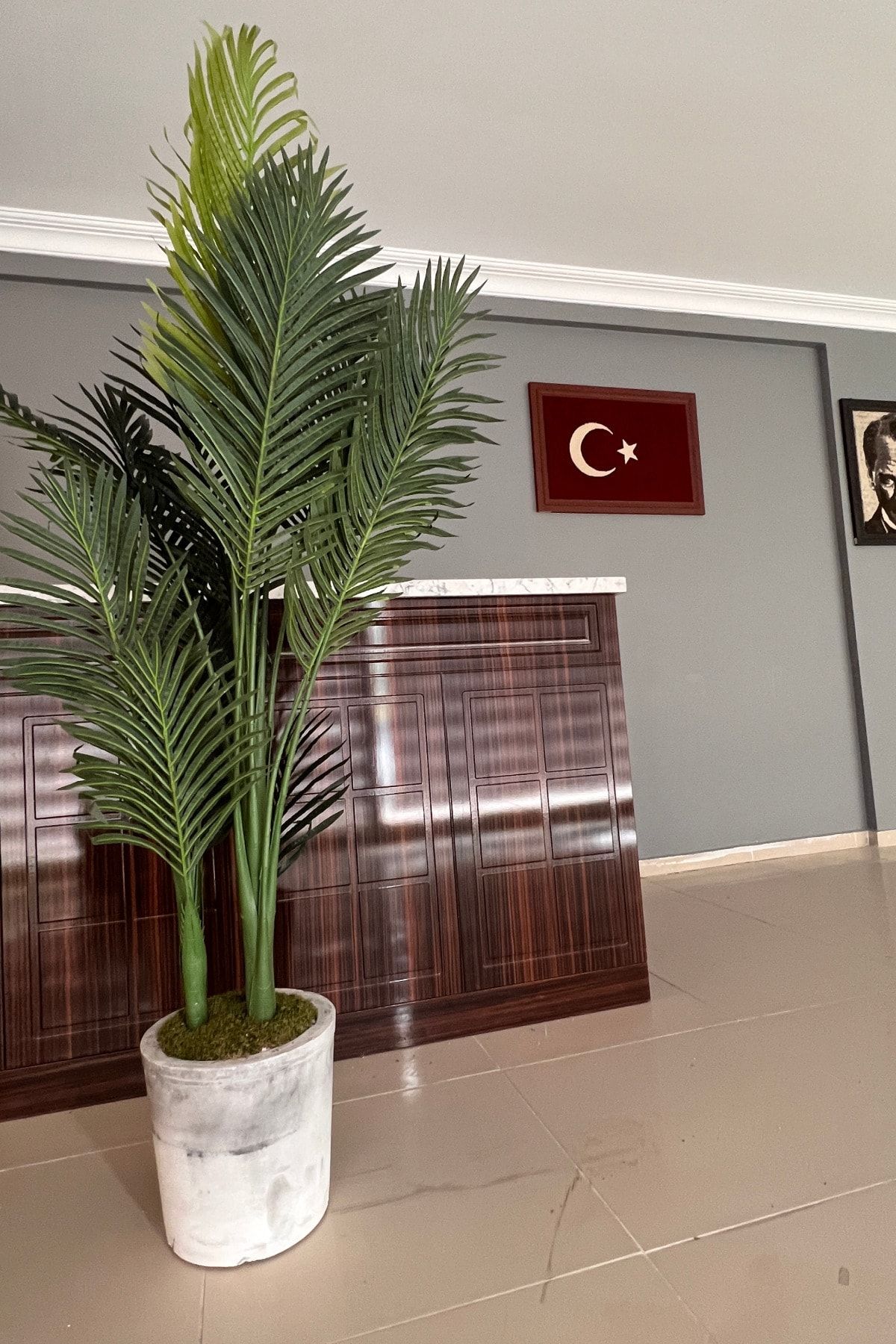 thebouqet Mermer Desenli Mega Beton Saksıda Areka 180 Cm