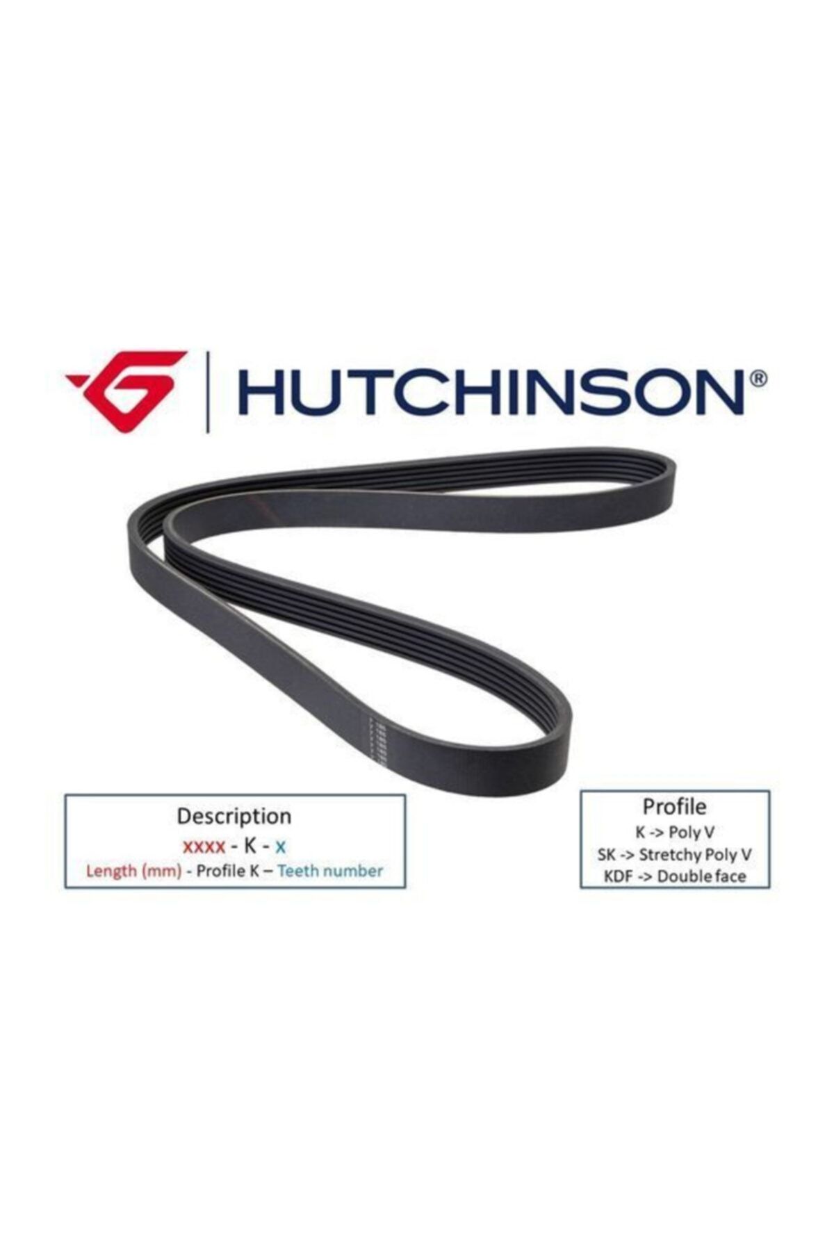Hutchinson Hutchınson 5pk954: (954 K 5) Kanallı Kayış Palıo Weekend -albea 1