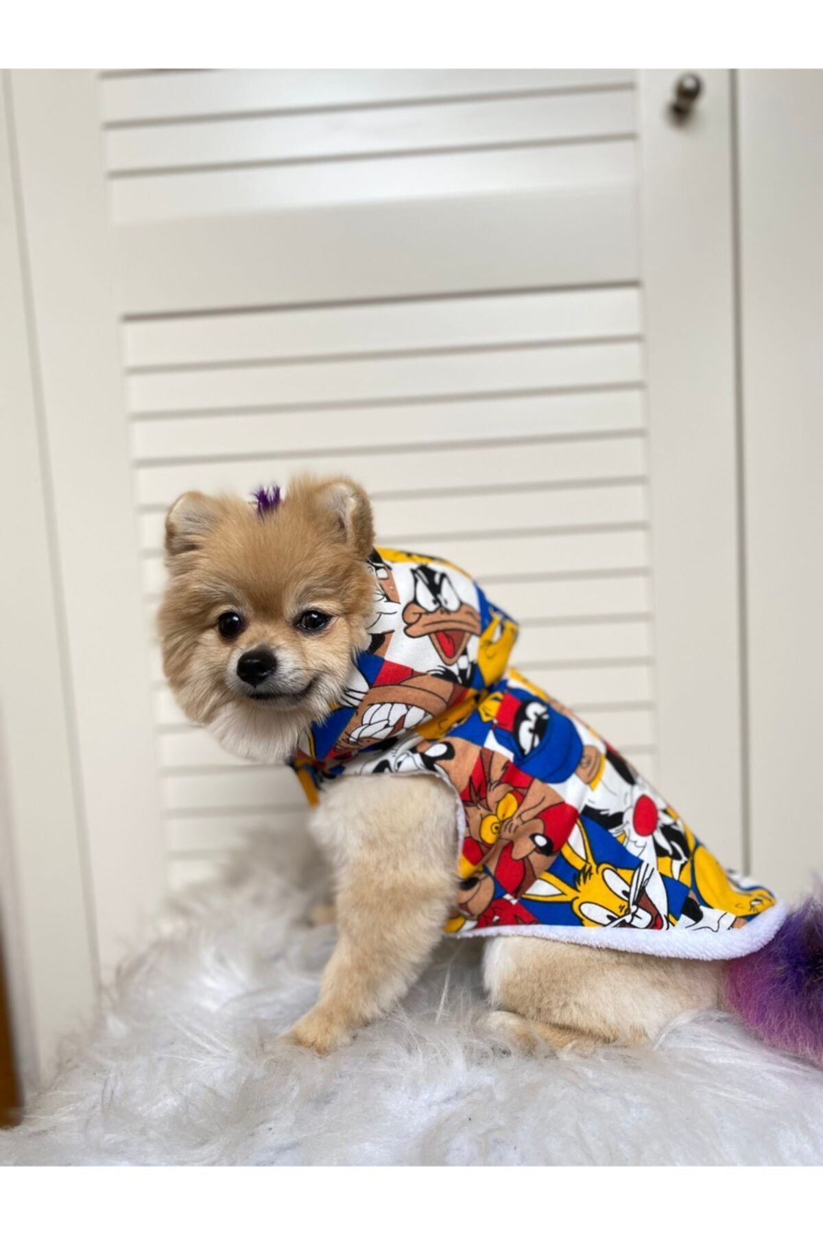 atelyu Kedi Köpek Kıyafetleri Welsoft Kaplı Sweatshirt