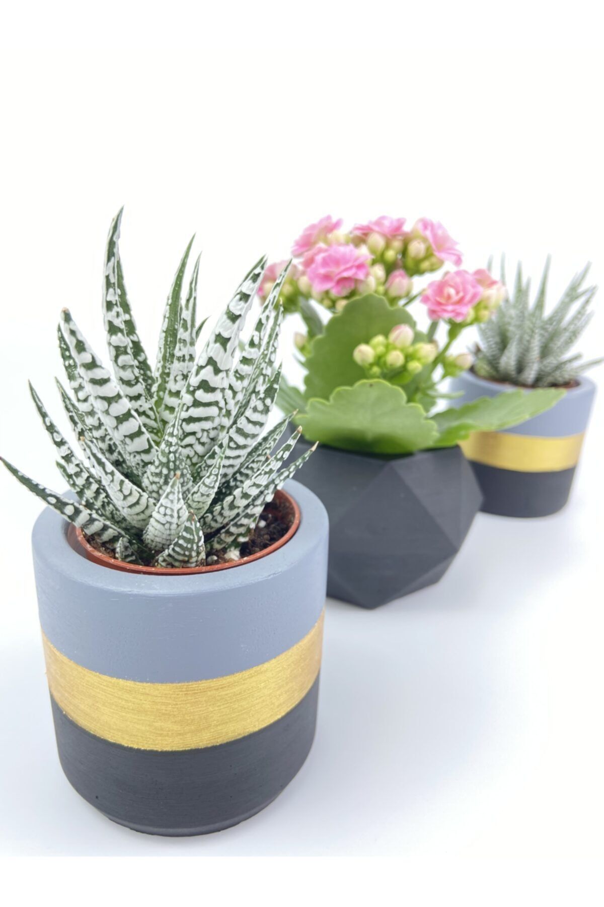 Lavinya Çiçek 3 Lü Beton Dekoratif Howartia Saksı Set