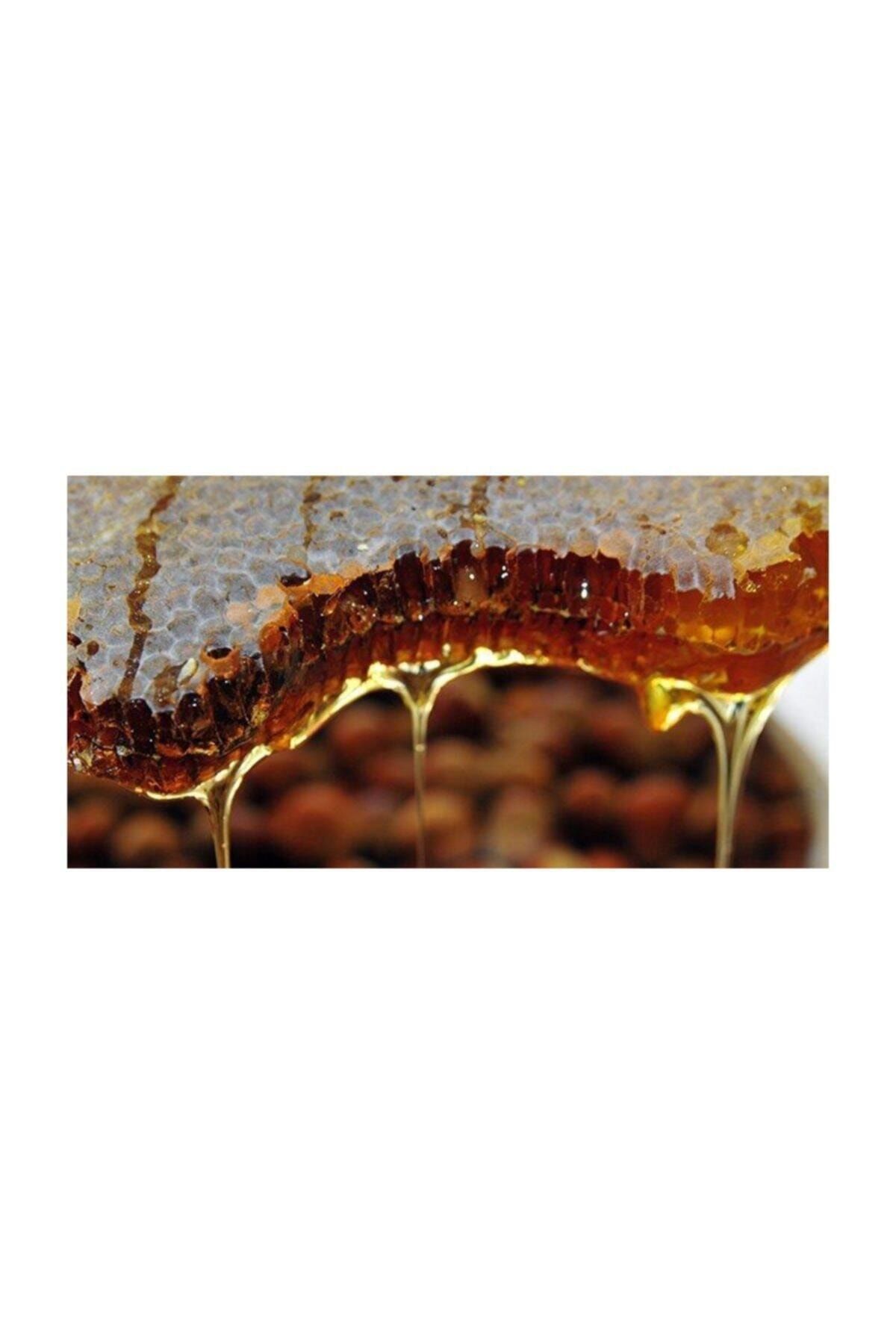 Organikmarketten Erzincan Çiçek Balı (petek) 2 Kg - 2.5 Kg