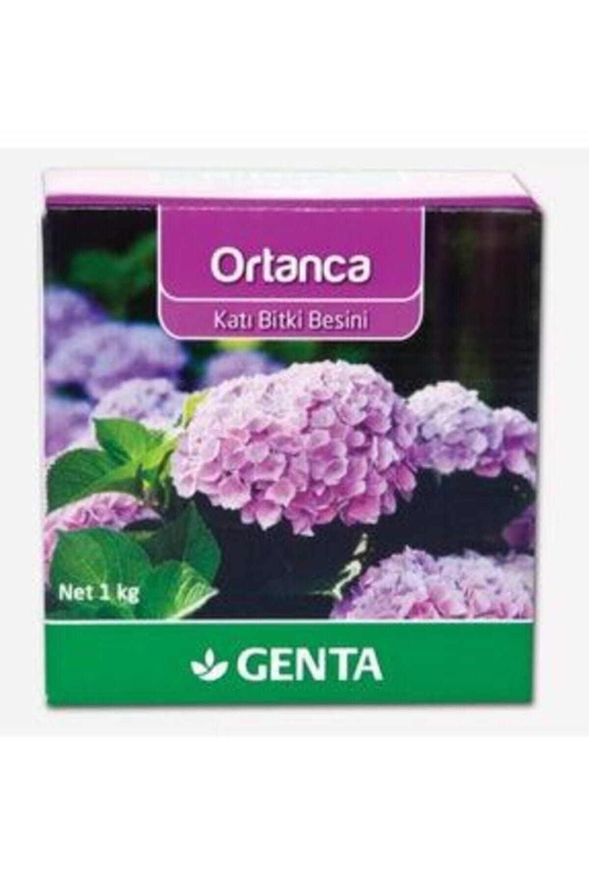 Genta Ortanca Ve Açelya İçin Katı Bitki Besini