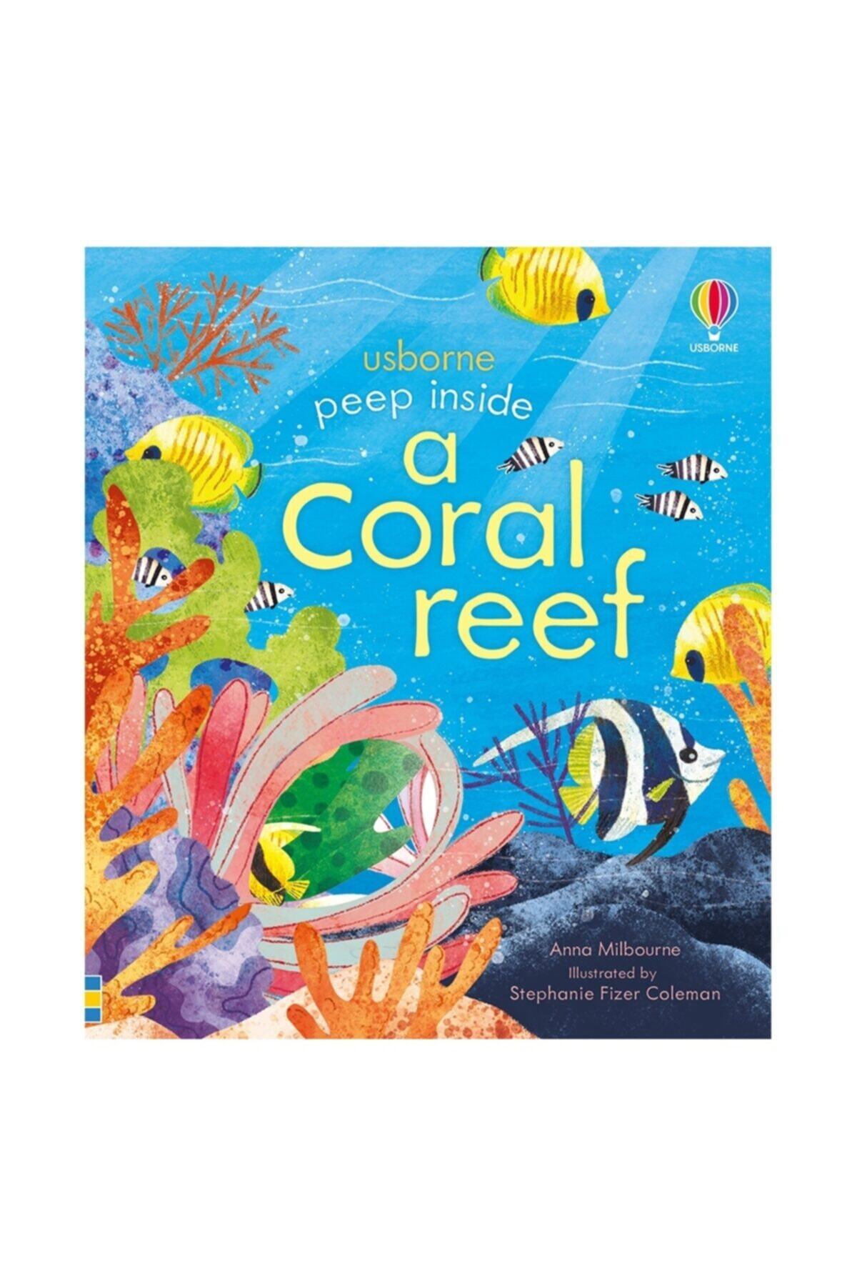 Usborne Peep Insıde A Coral Reef